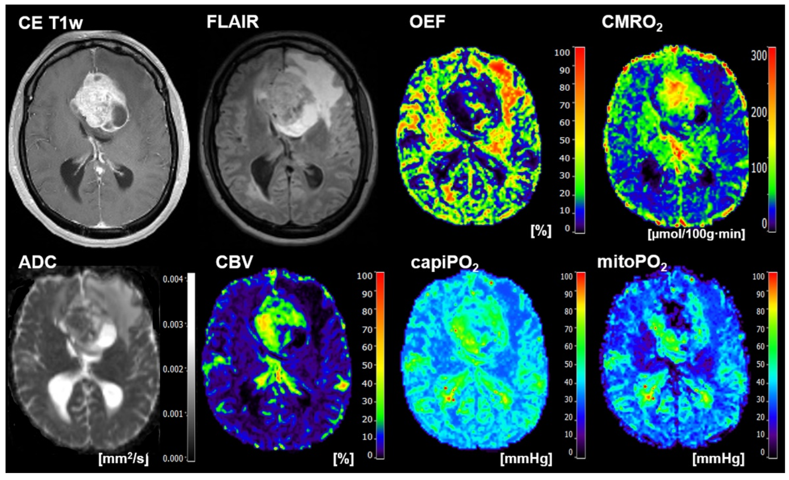 Metabolites 12 01264 g005