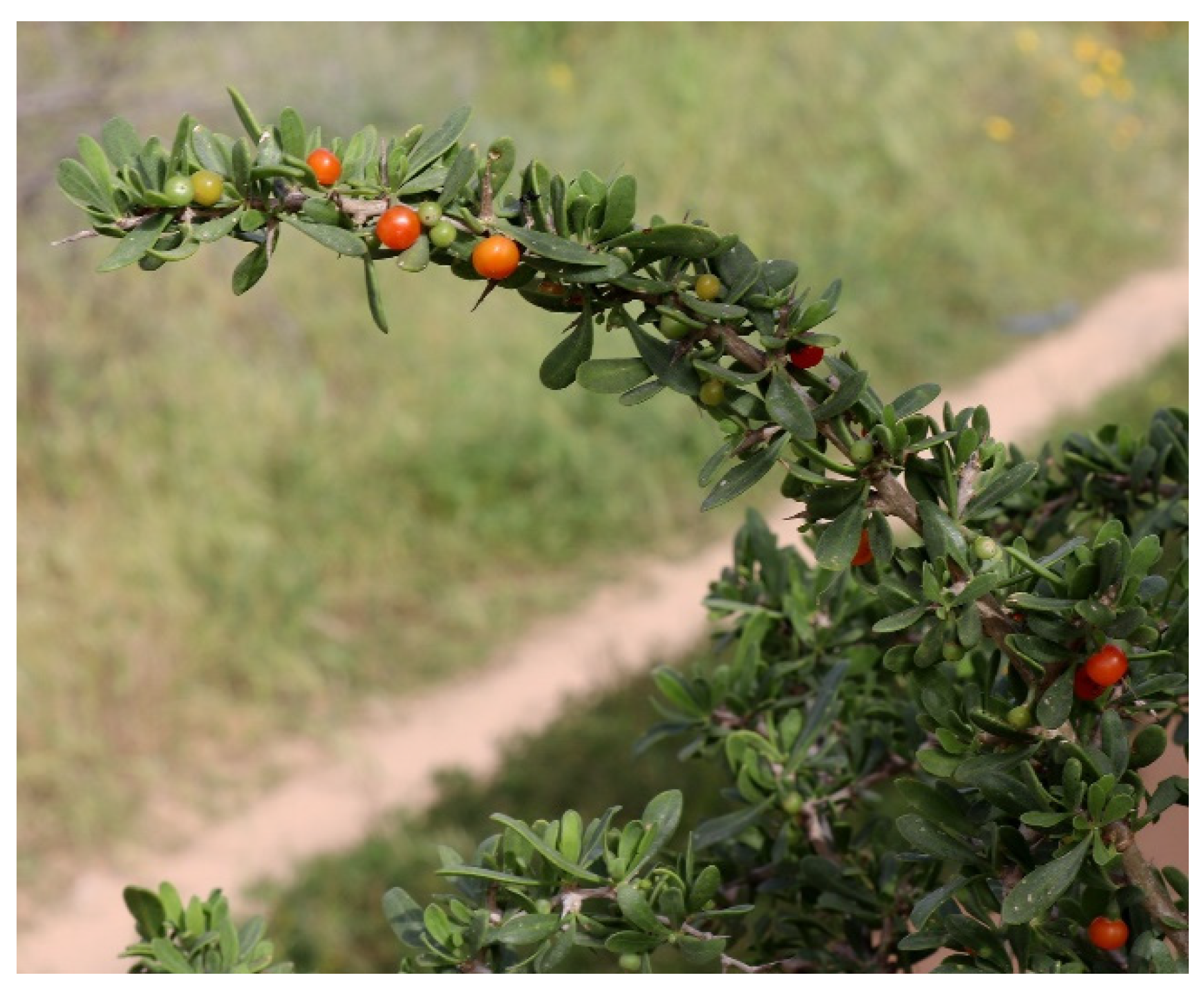 Metabolites 12 01265 g001 Metabolites 12 01265 g001