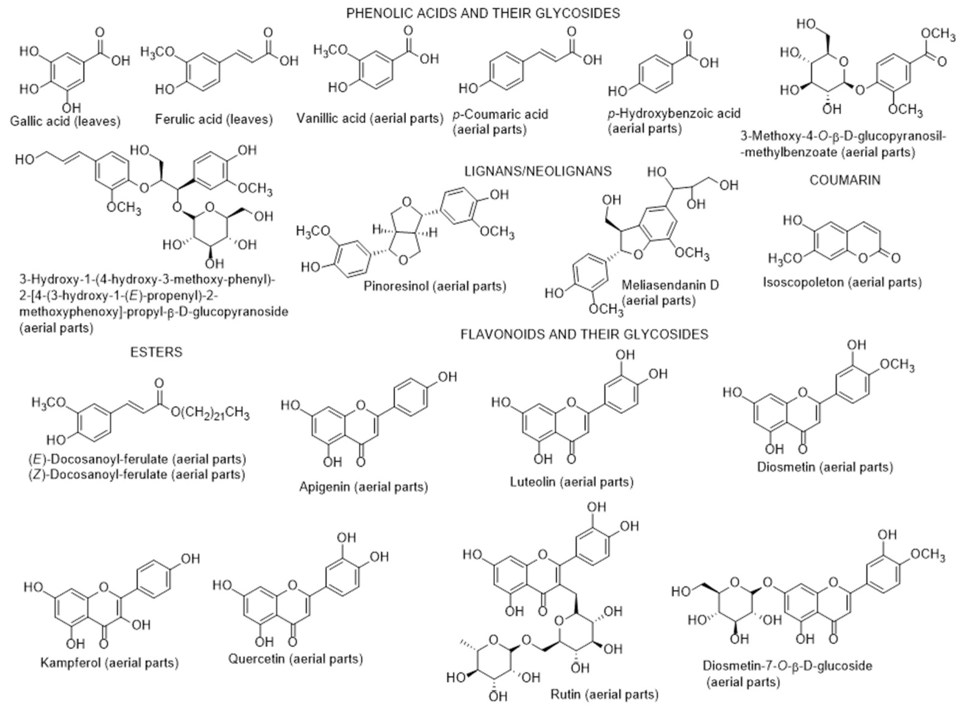Metabolites 12 01265 g005a Metabolites 12 01265 g005a