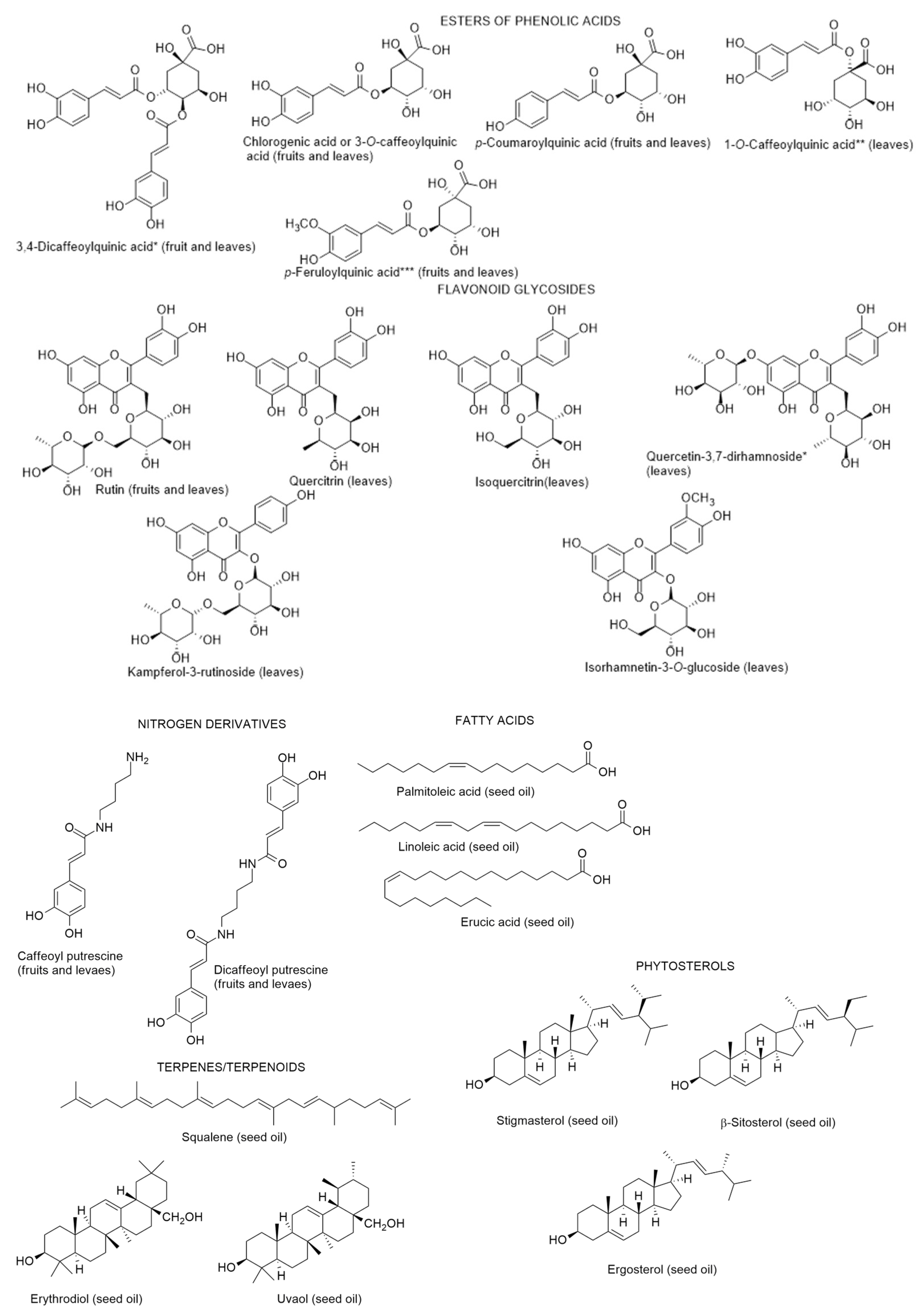 Metabolites 12 01265 g007 Metabolites 12 01265 g007