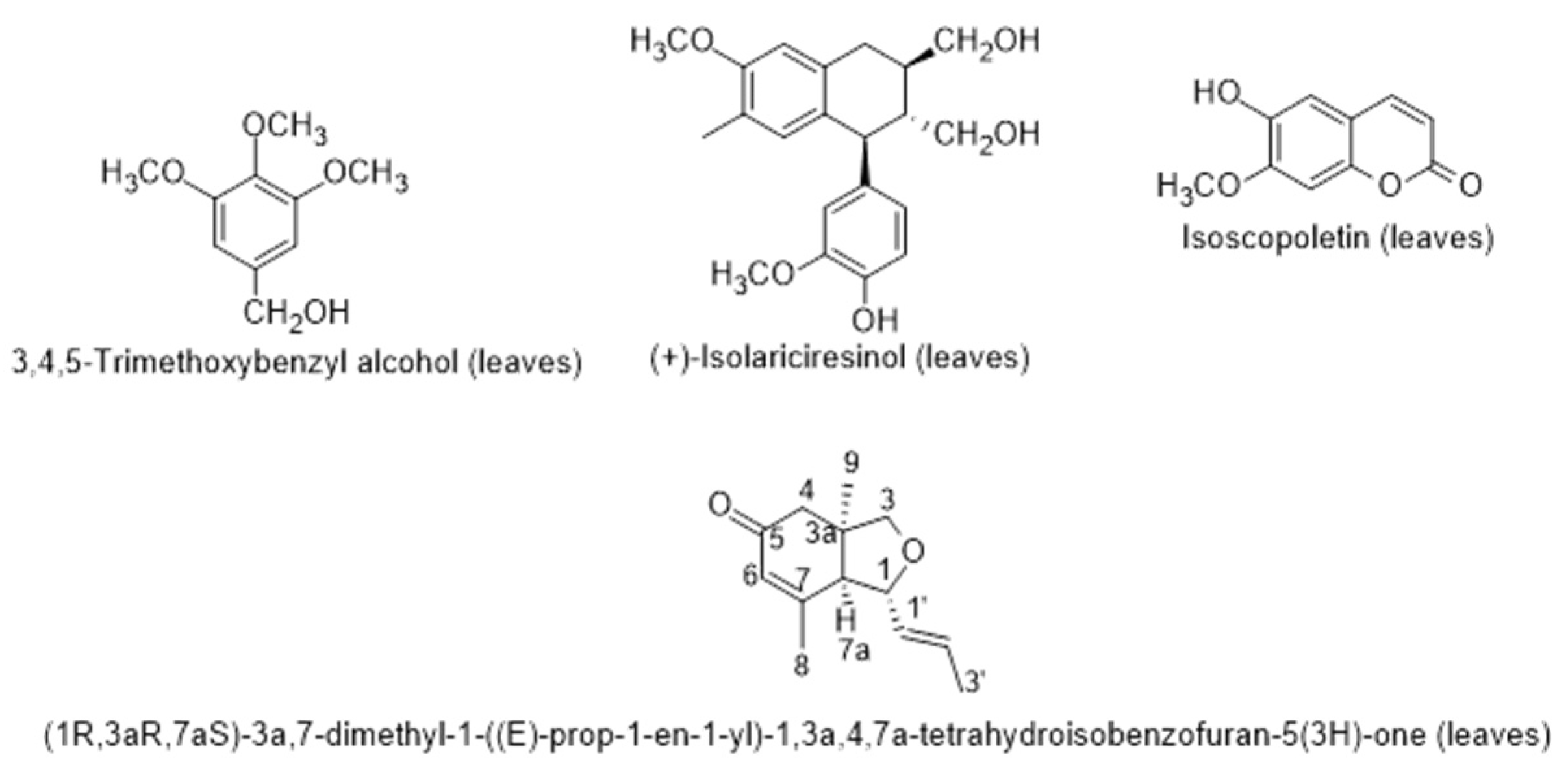 Metabolites 12 01265 g008 Metabolites 12 01265 g008