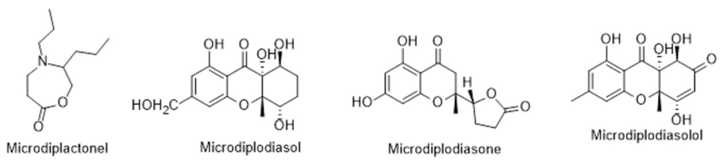 Metabolites 12 01265 g010 Metabolites 12 01265 g010
