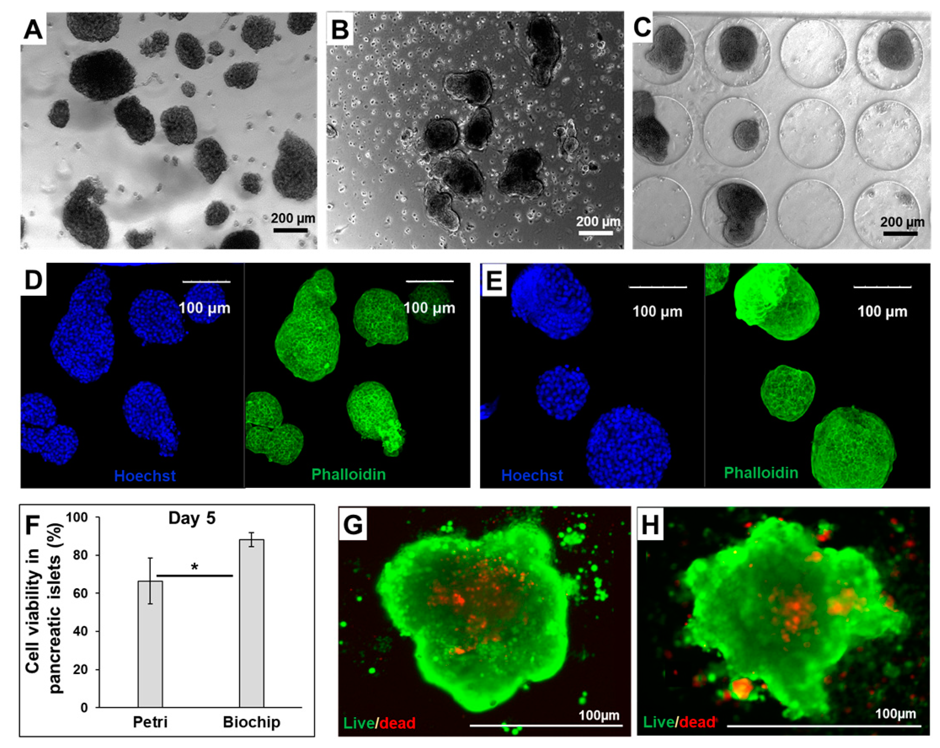 Metabolites 12 01270 g001