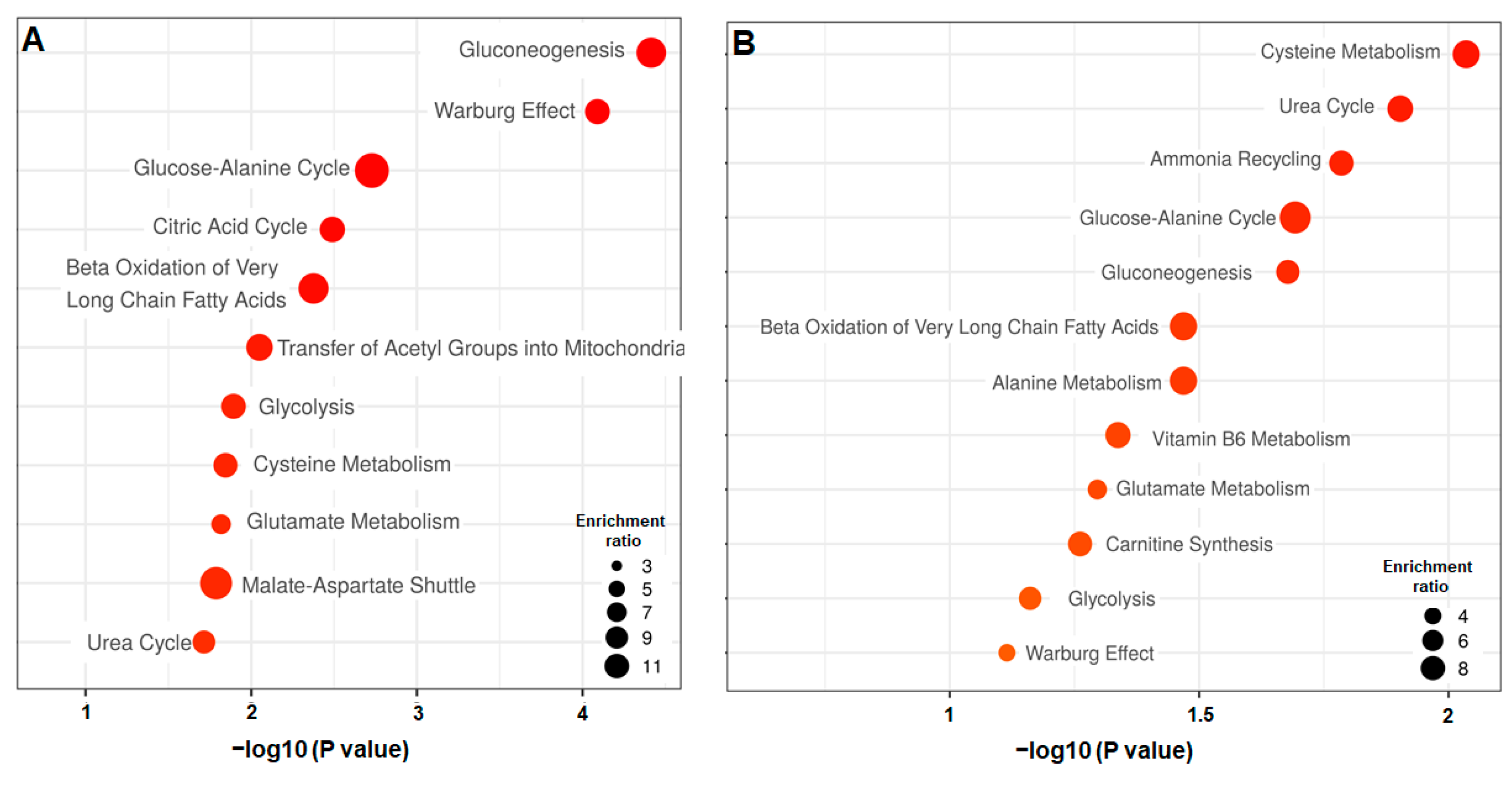Metabolites 12 01270 g005