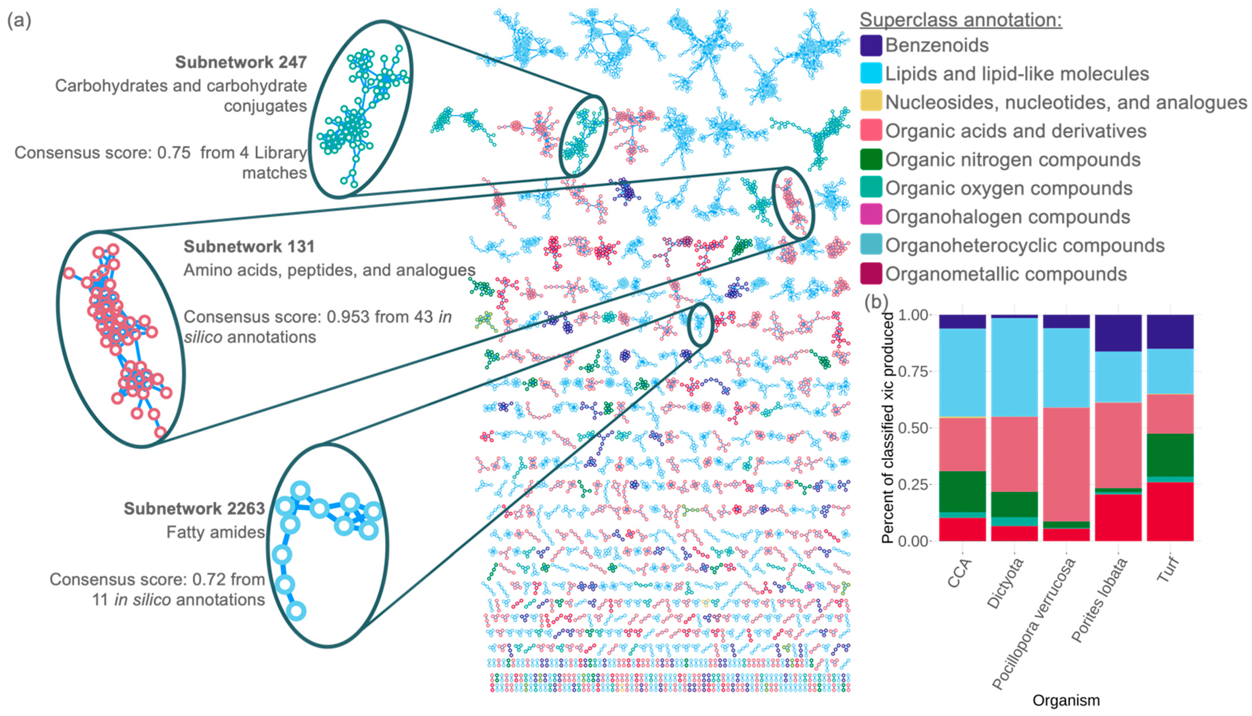 Metabolites 12 01275 g003 Metabolites 12 01275 g003