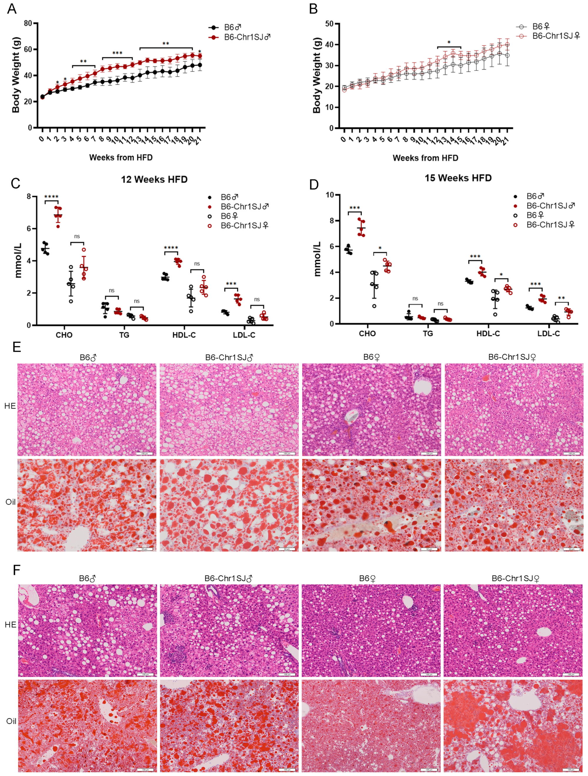 Metabolites 12 01276 g001