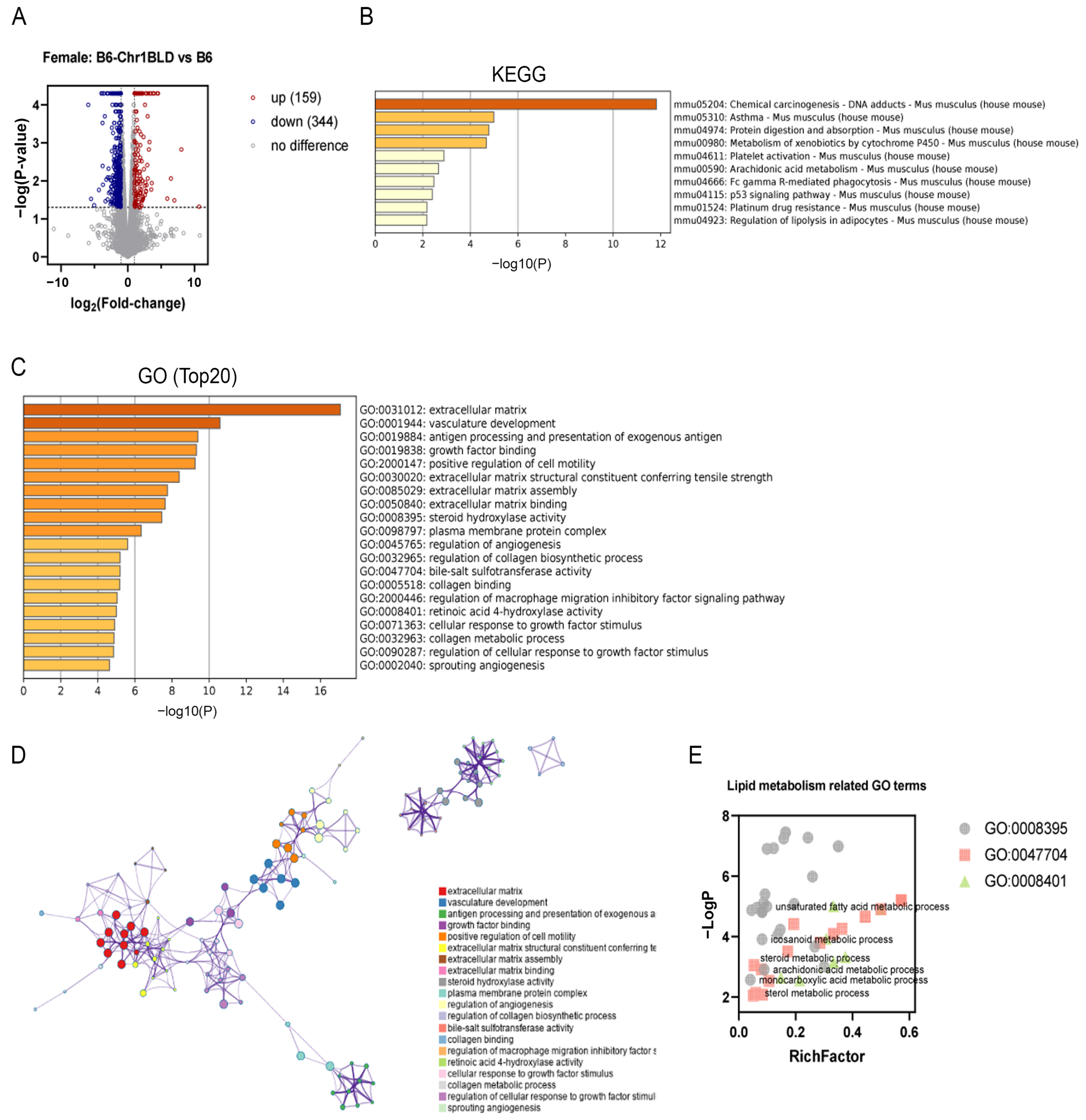 Metabolites 12 01276 g007