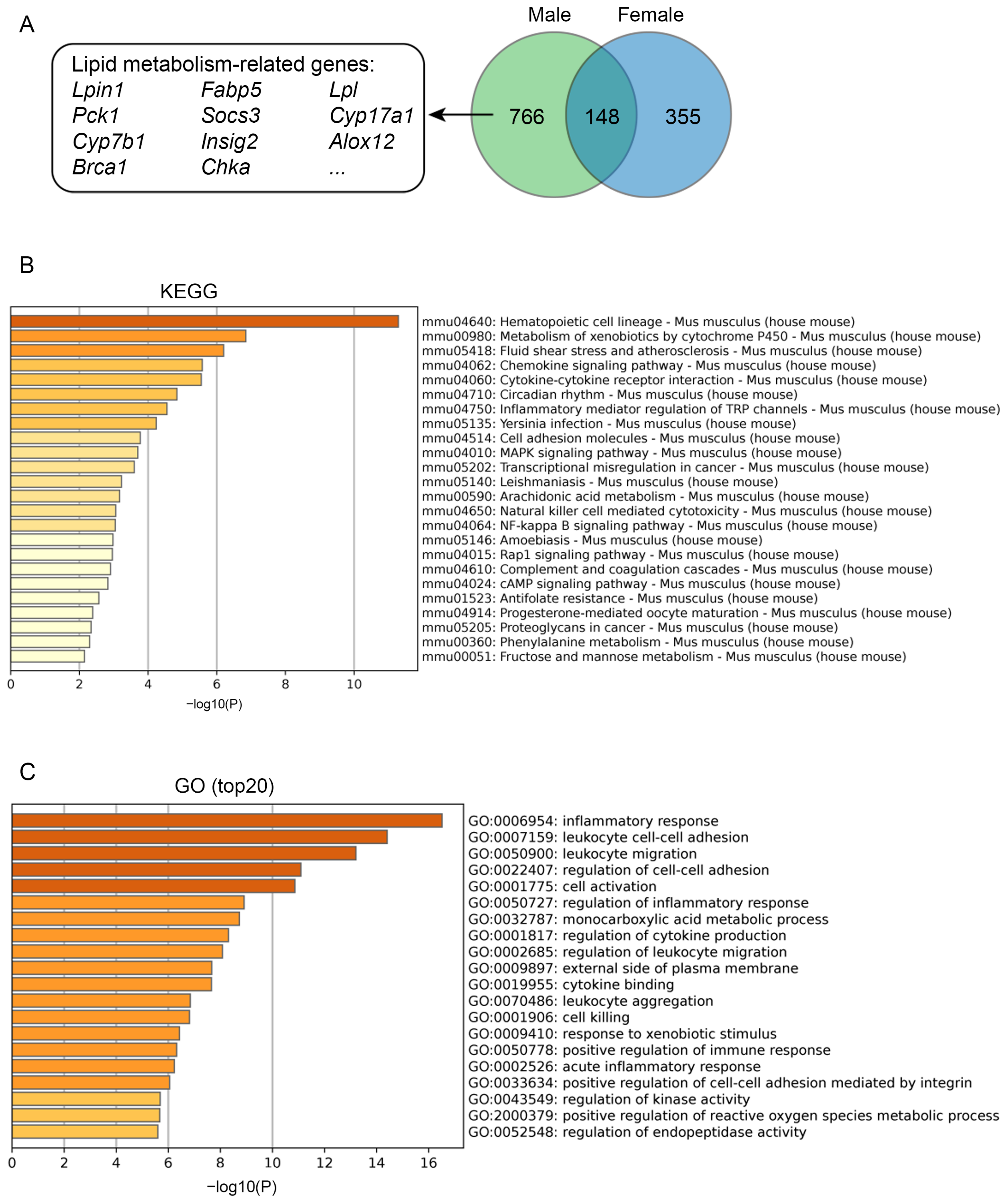 Metabolites 12 01276 g008