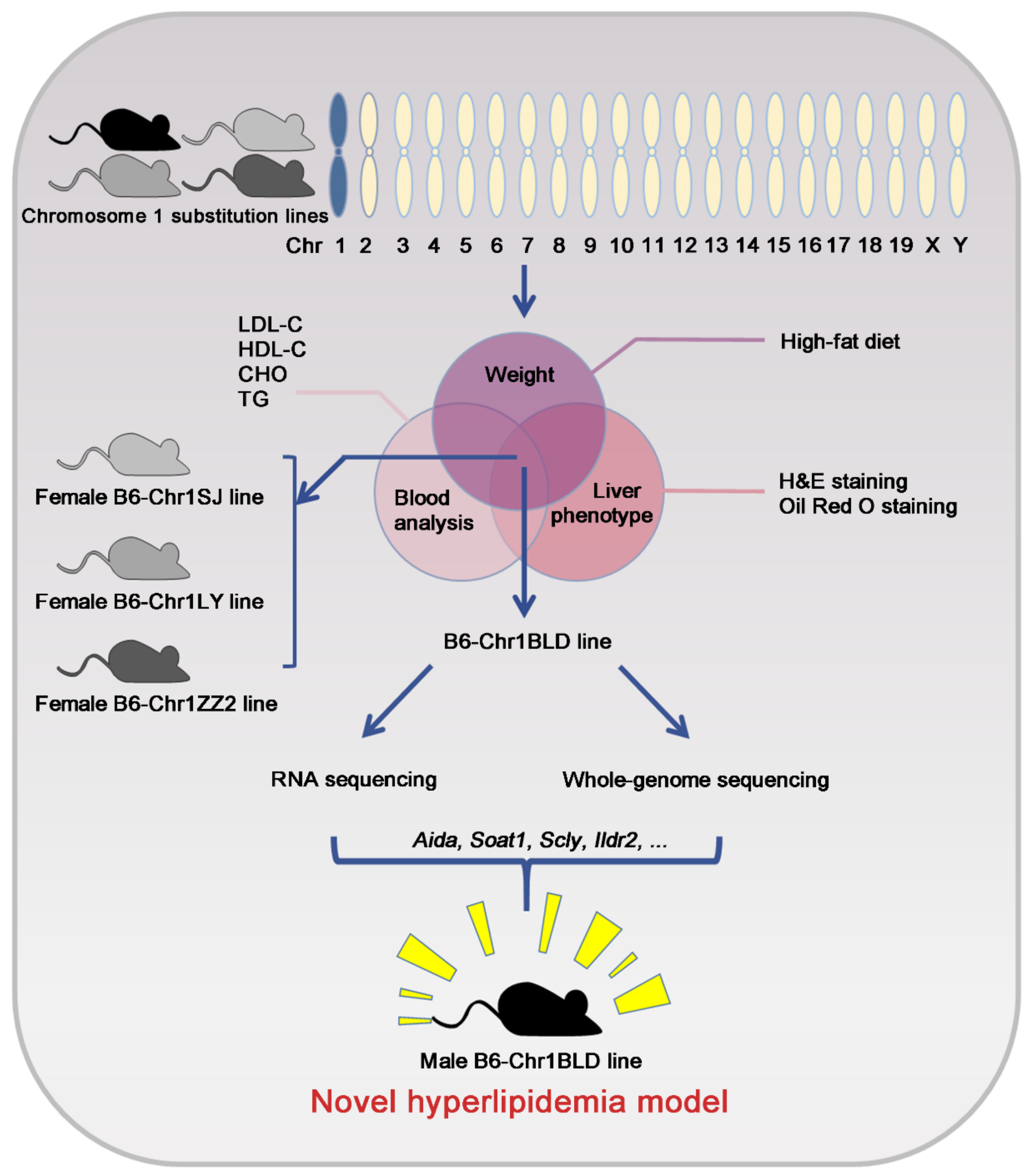 Metabolites 12 01276 g009