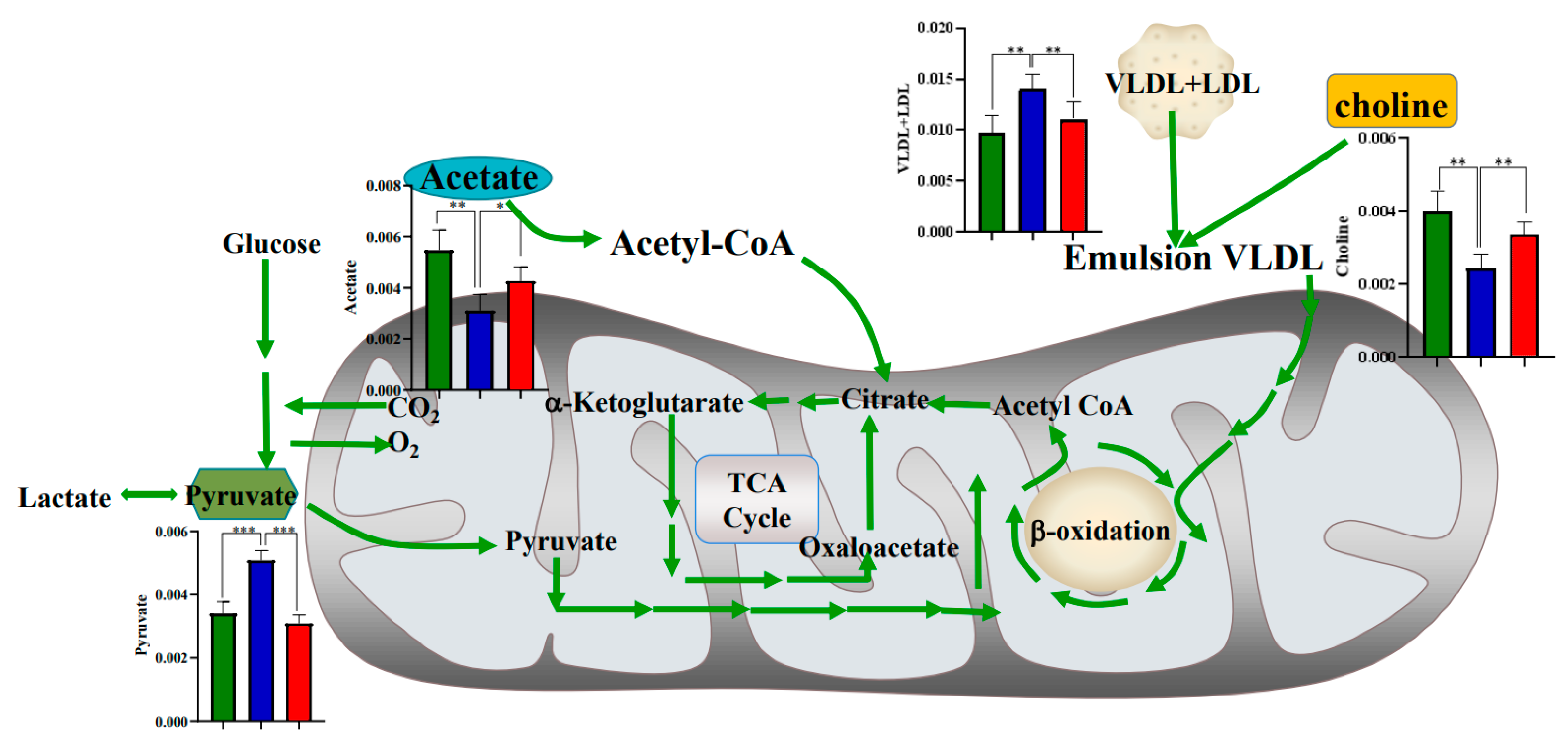 Metabolites 12 01278 g007
