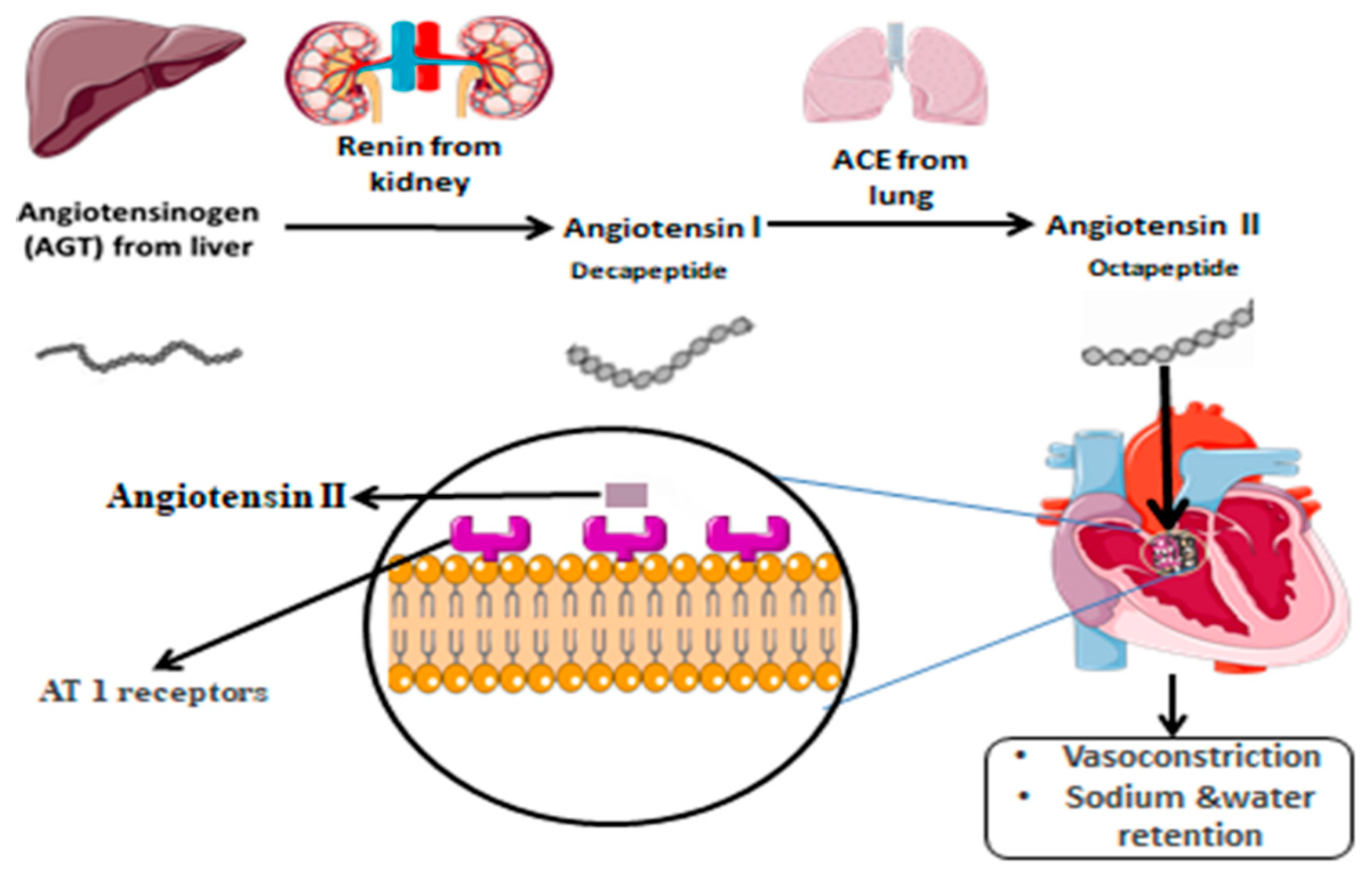 Metabolites 12 01291 g001