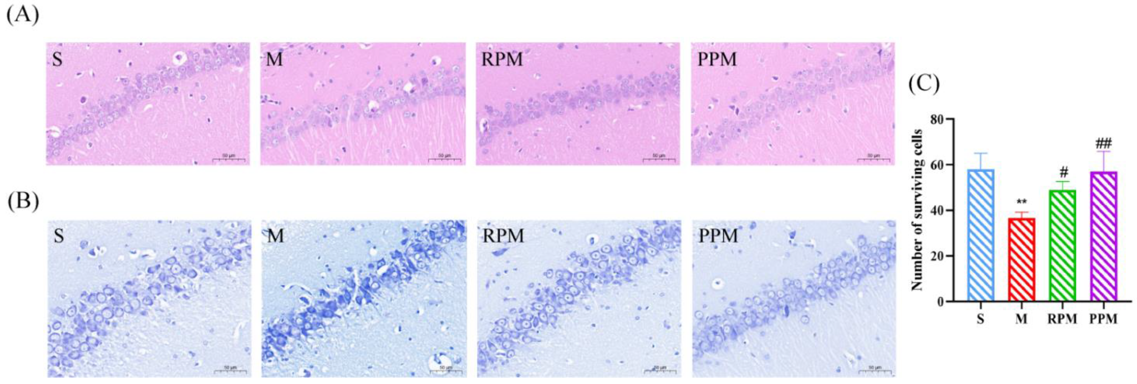 Metabolites 12 01297 g002