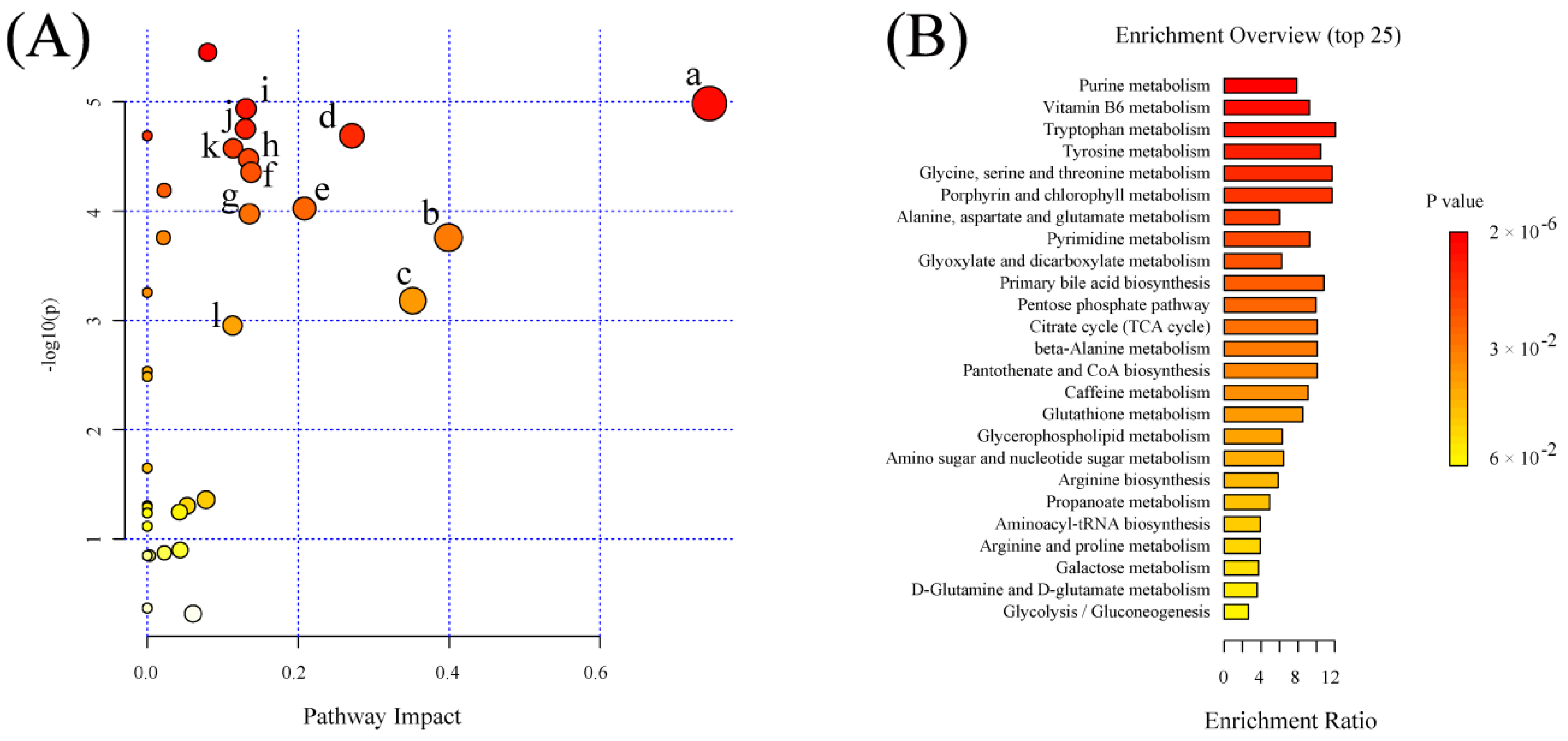 Metabolites 12 01297 g006