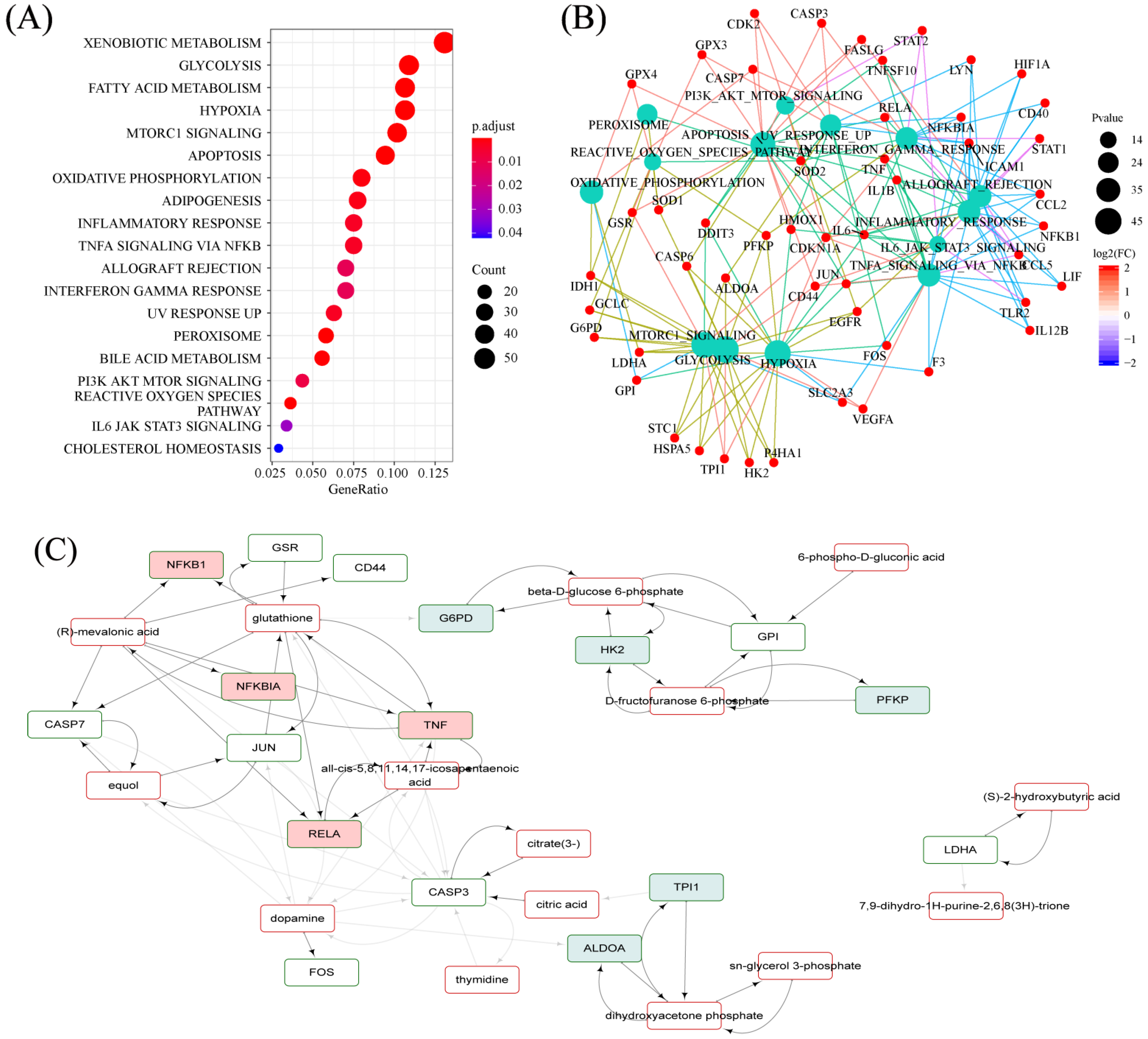 Metabolites 12 01297 g007