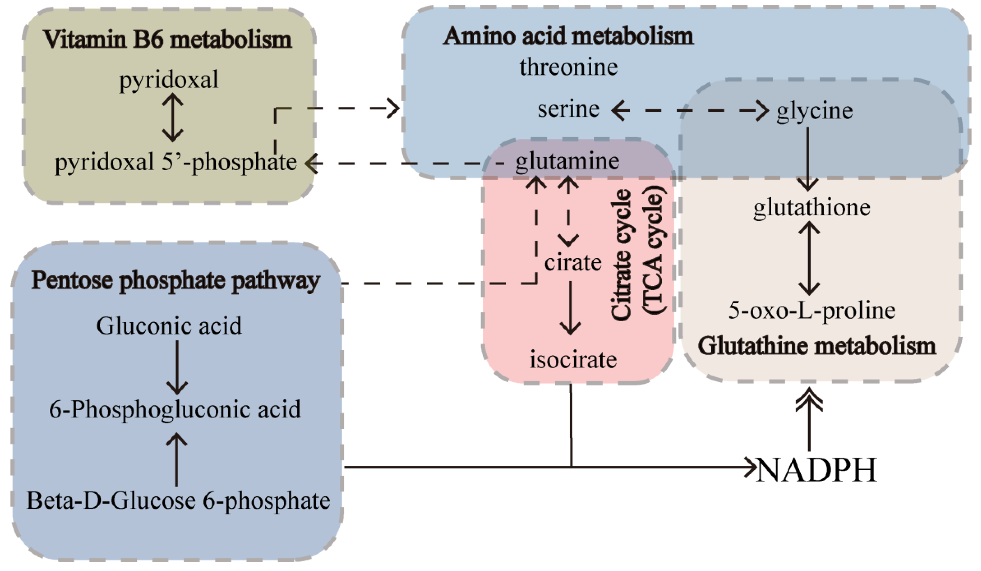 Metabolites 12 01297 g011