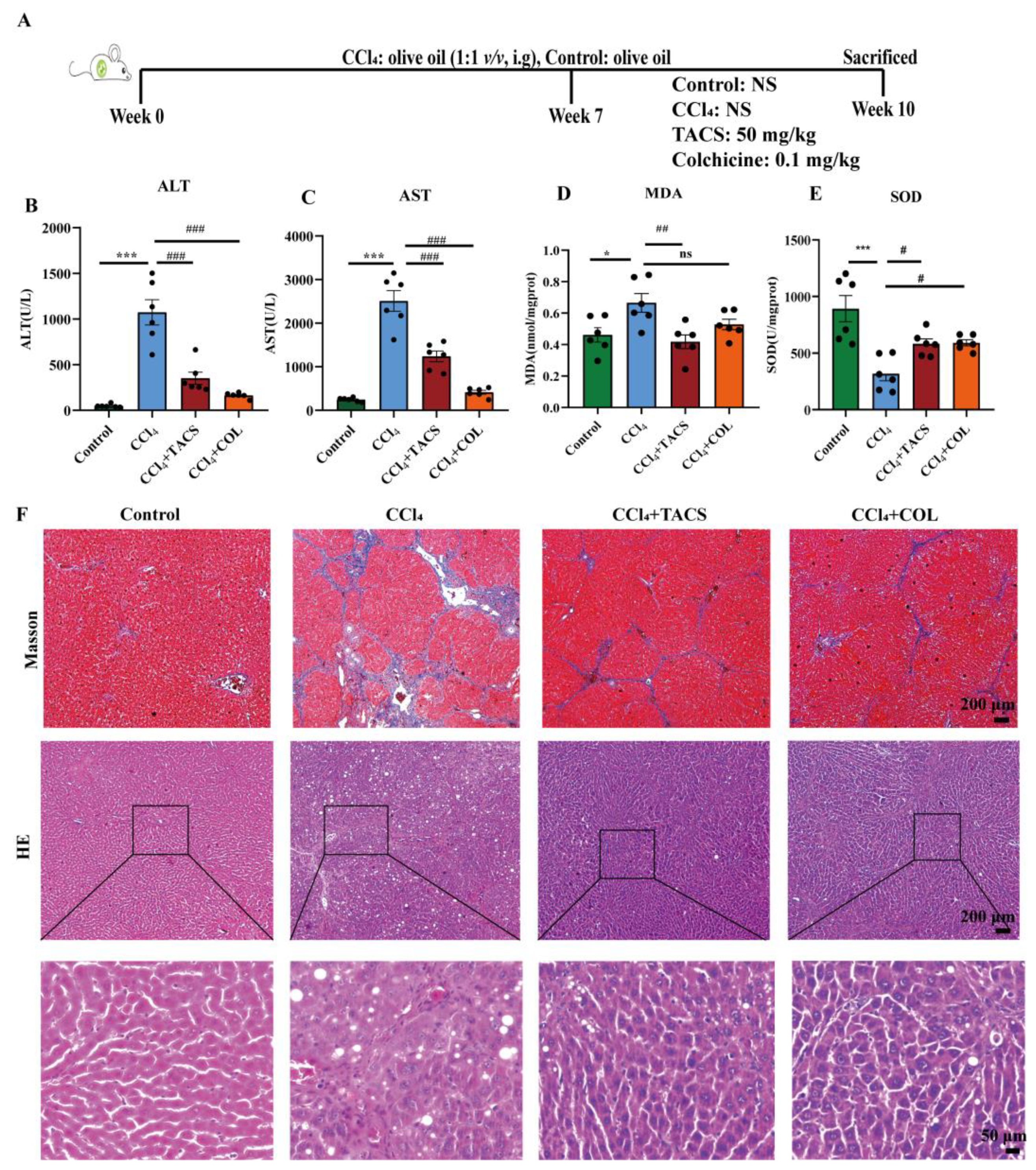Metabolites 13 00009 g001 Metabolites 13 00009 g001