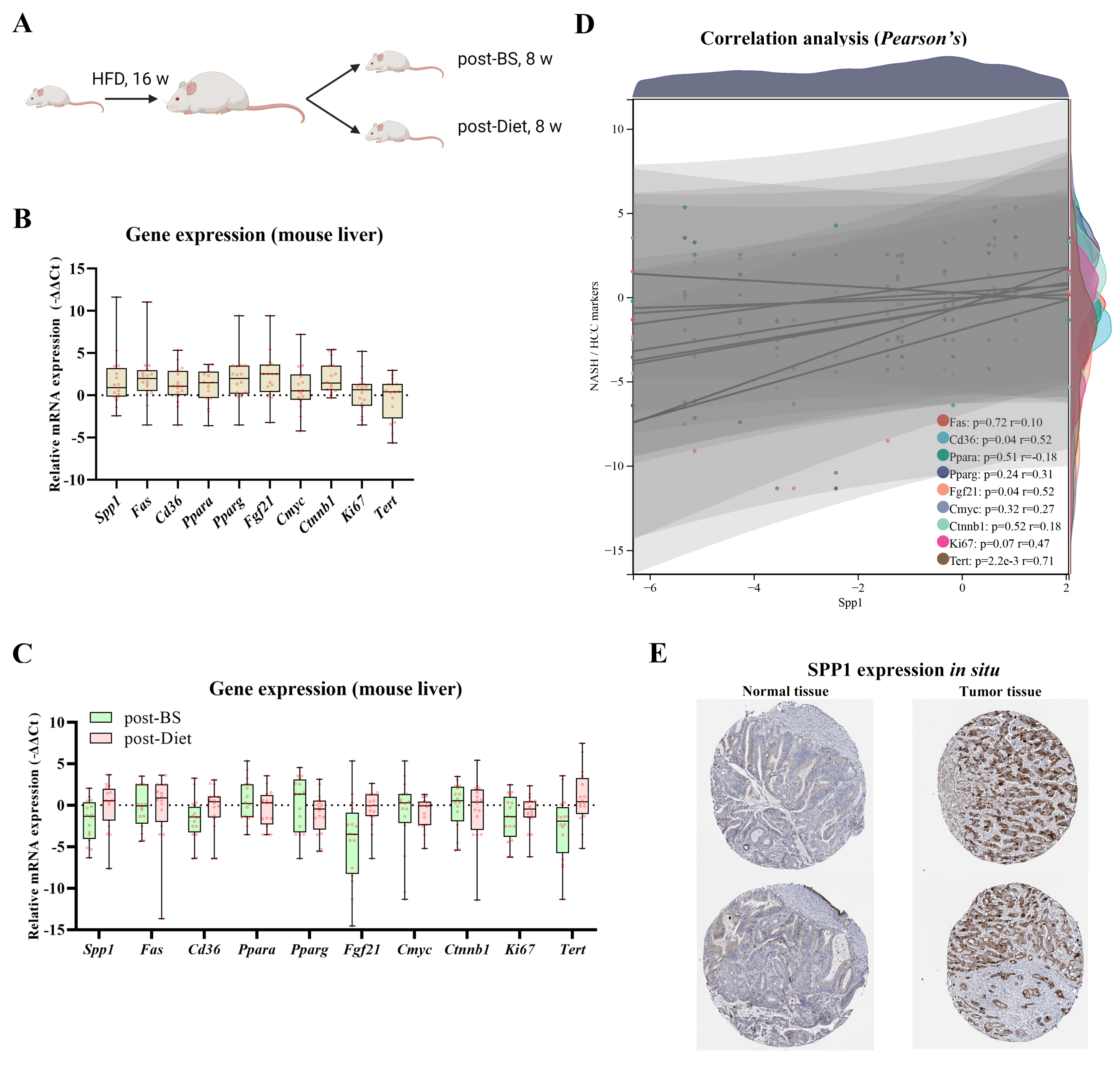 Metabolites 13 00011 g006 Metabolites 13 00011 g006