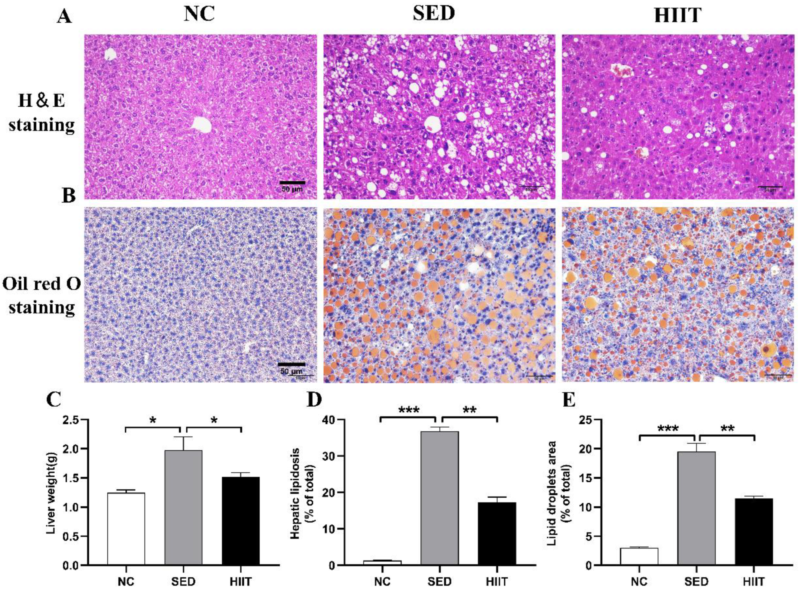 Metabolites 13 00014 g002 Metabolites 13 00014 g002