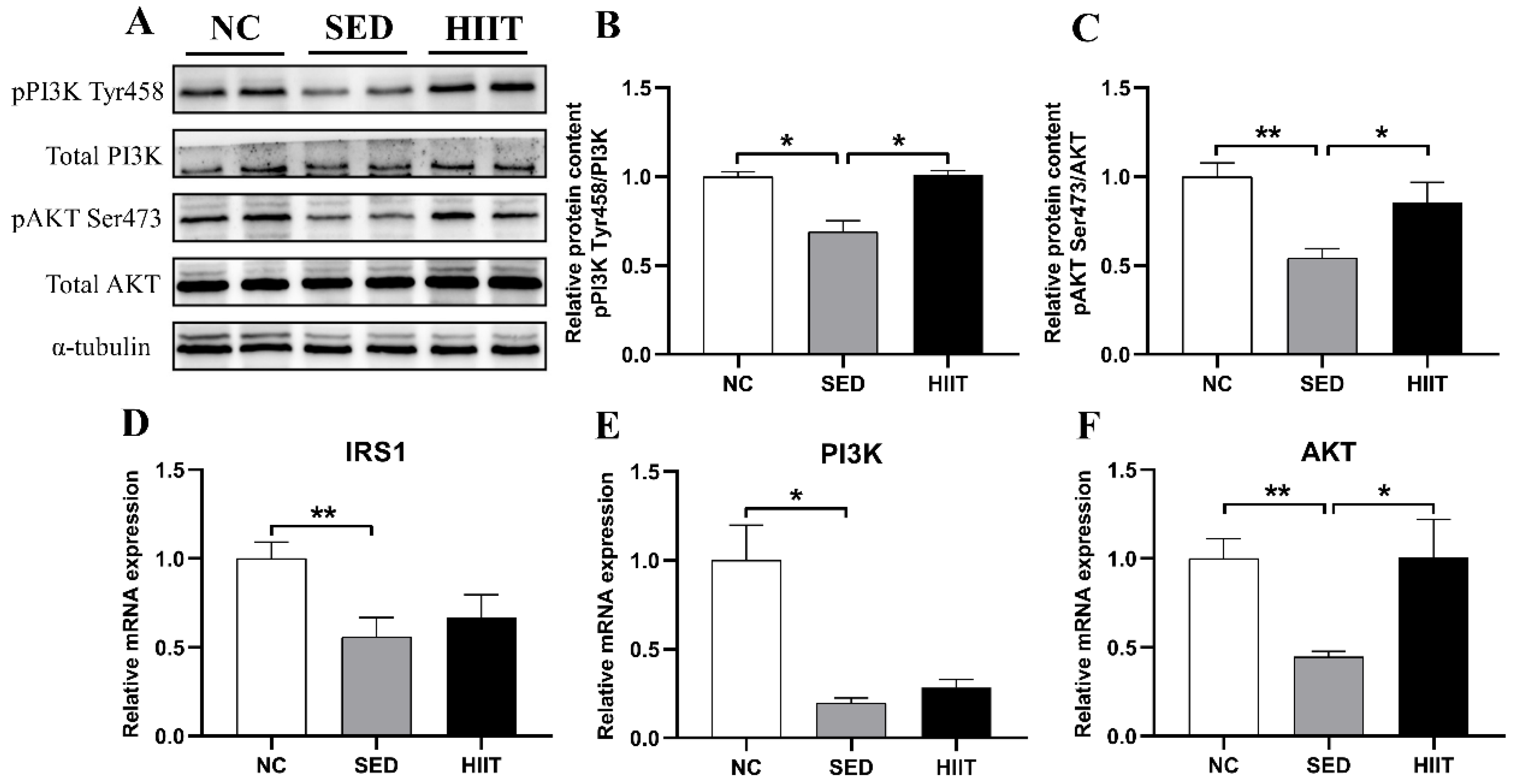 Metabolites 13 00014 g003 Metabolites 13 00014 g003