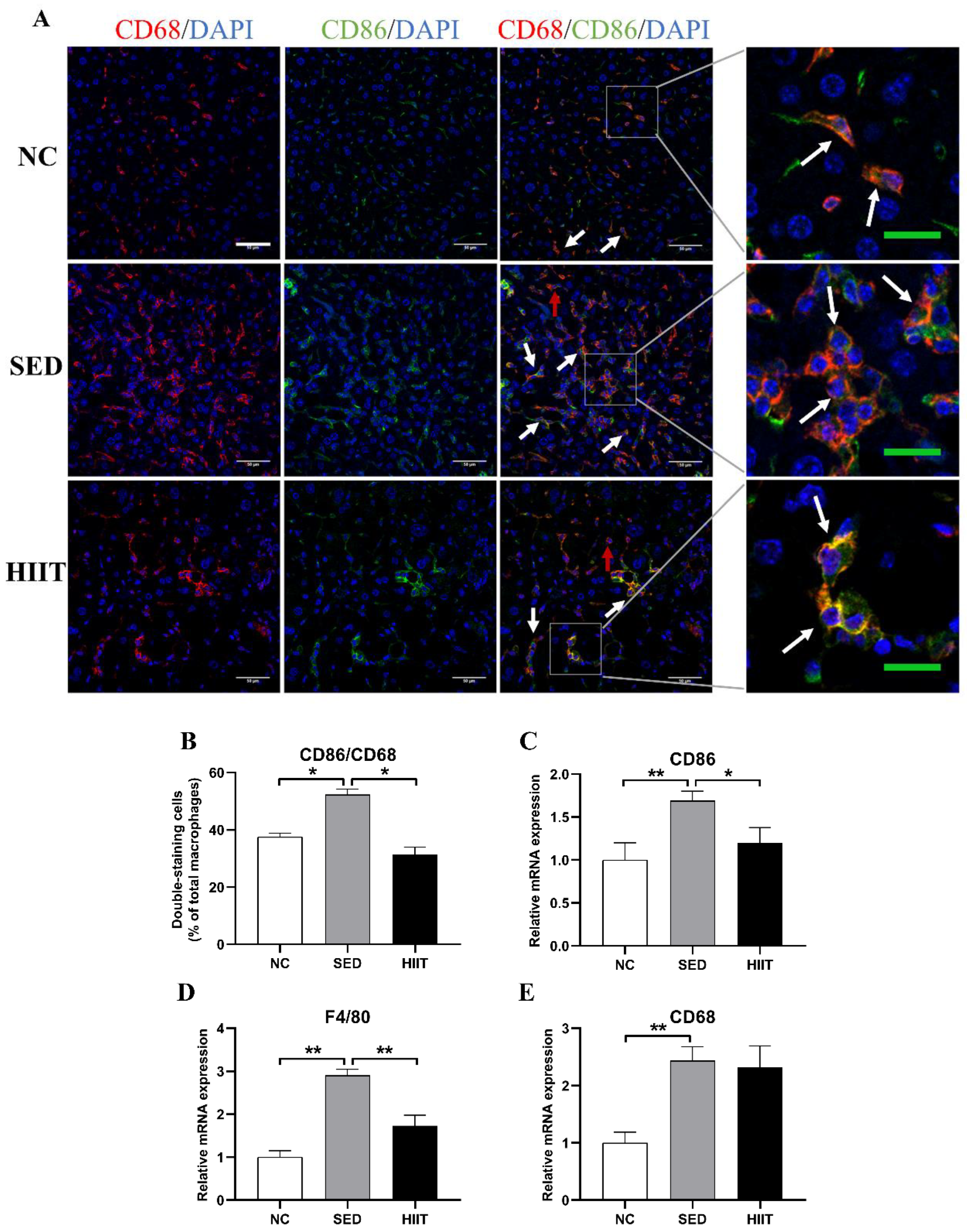 Metabolites 13 00014 g005 Metabolites 13 00014 g005