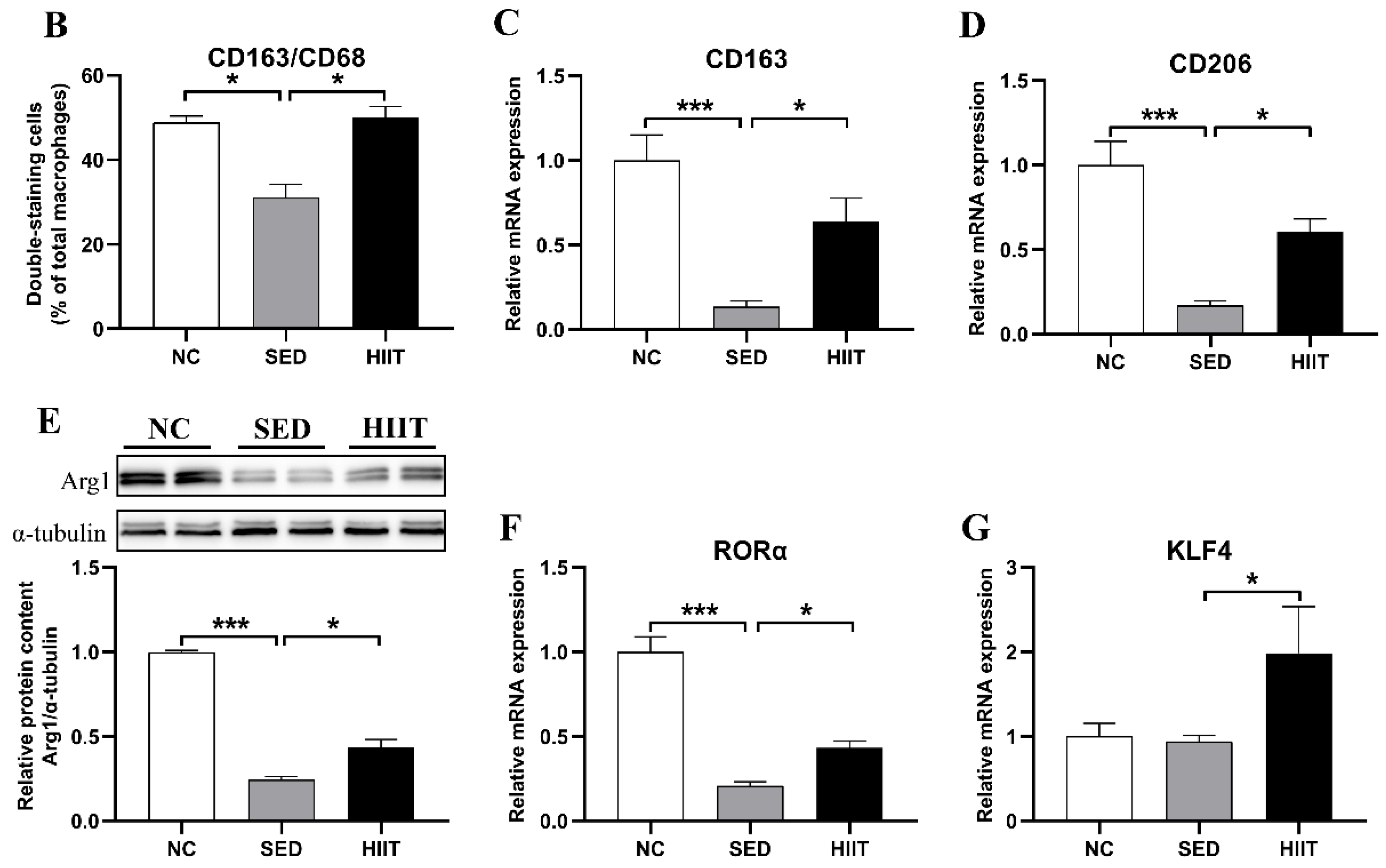 Metabolites 13 00014 g006b Metabolites 13 00014 g006b