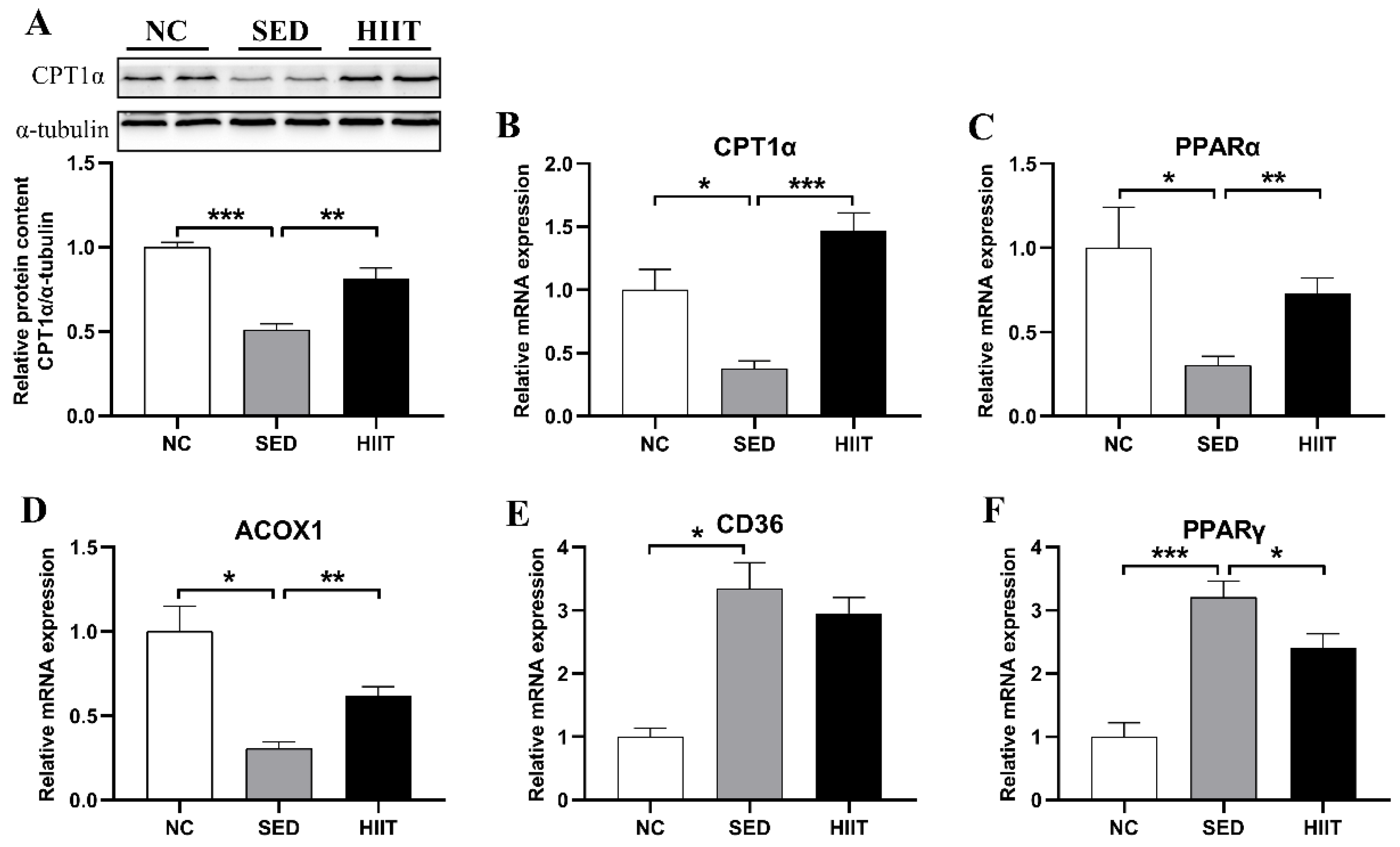 Metabolites 13 00014 g007 Metabolites 13 00014 g007
