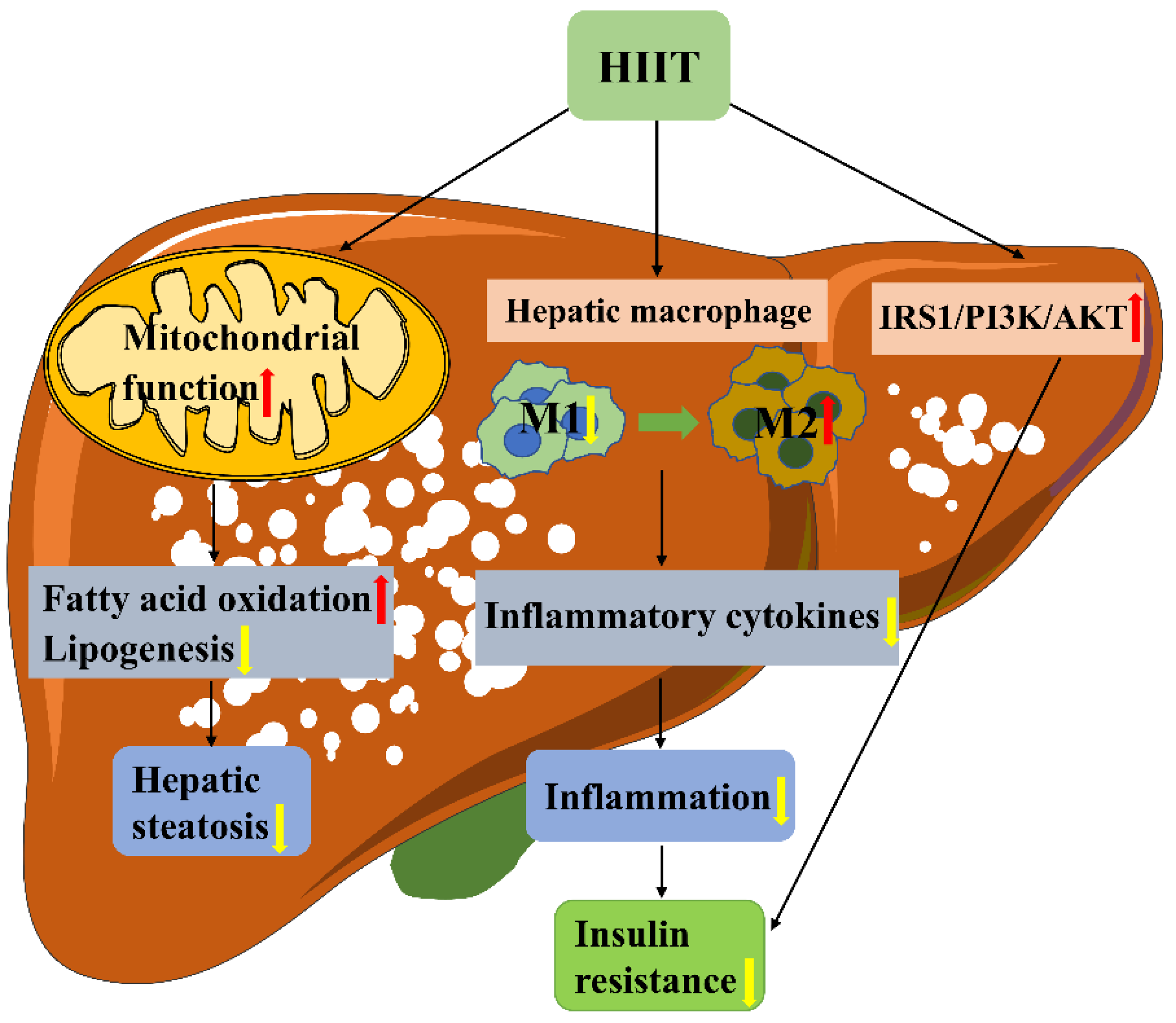 Metabolites 13 00014 g009 Metabolites 13 00014 g009
