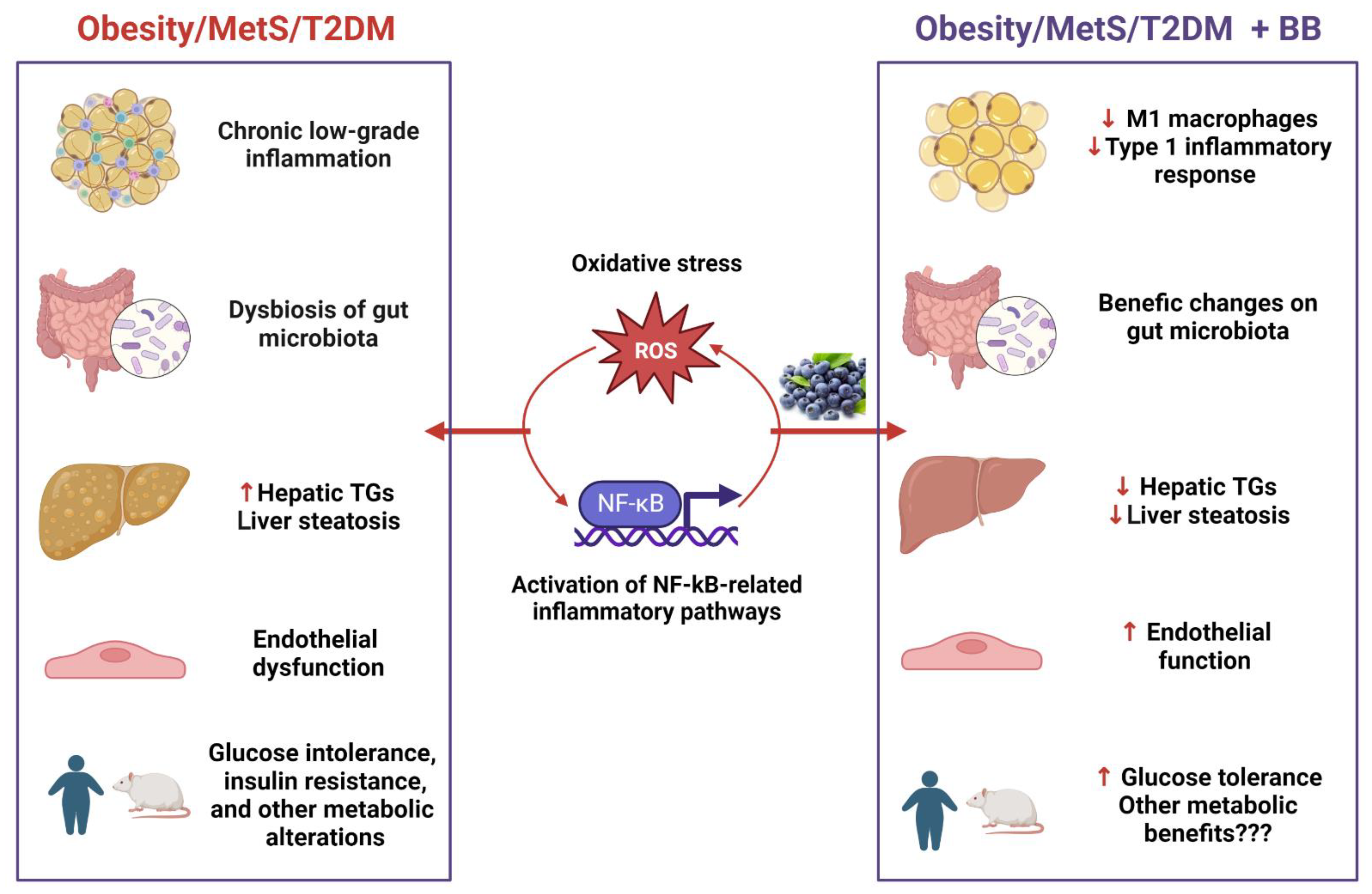 Metabolites 13 00019 g002 Metabolites 13 00019 g002