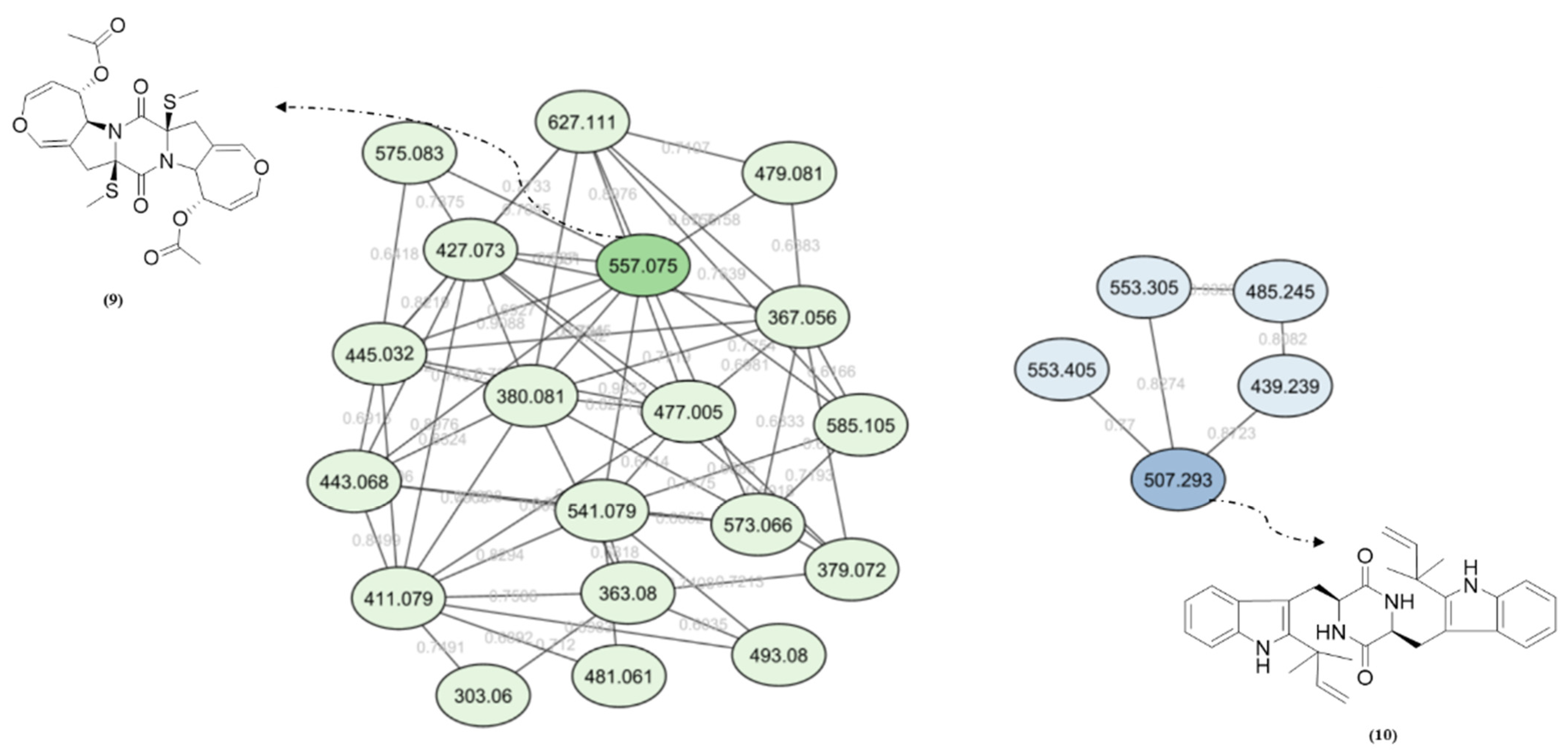 Metabolites 13 00023 g002 Metabolites 13 00023 g002
