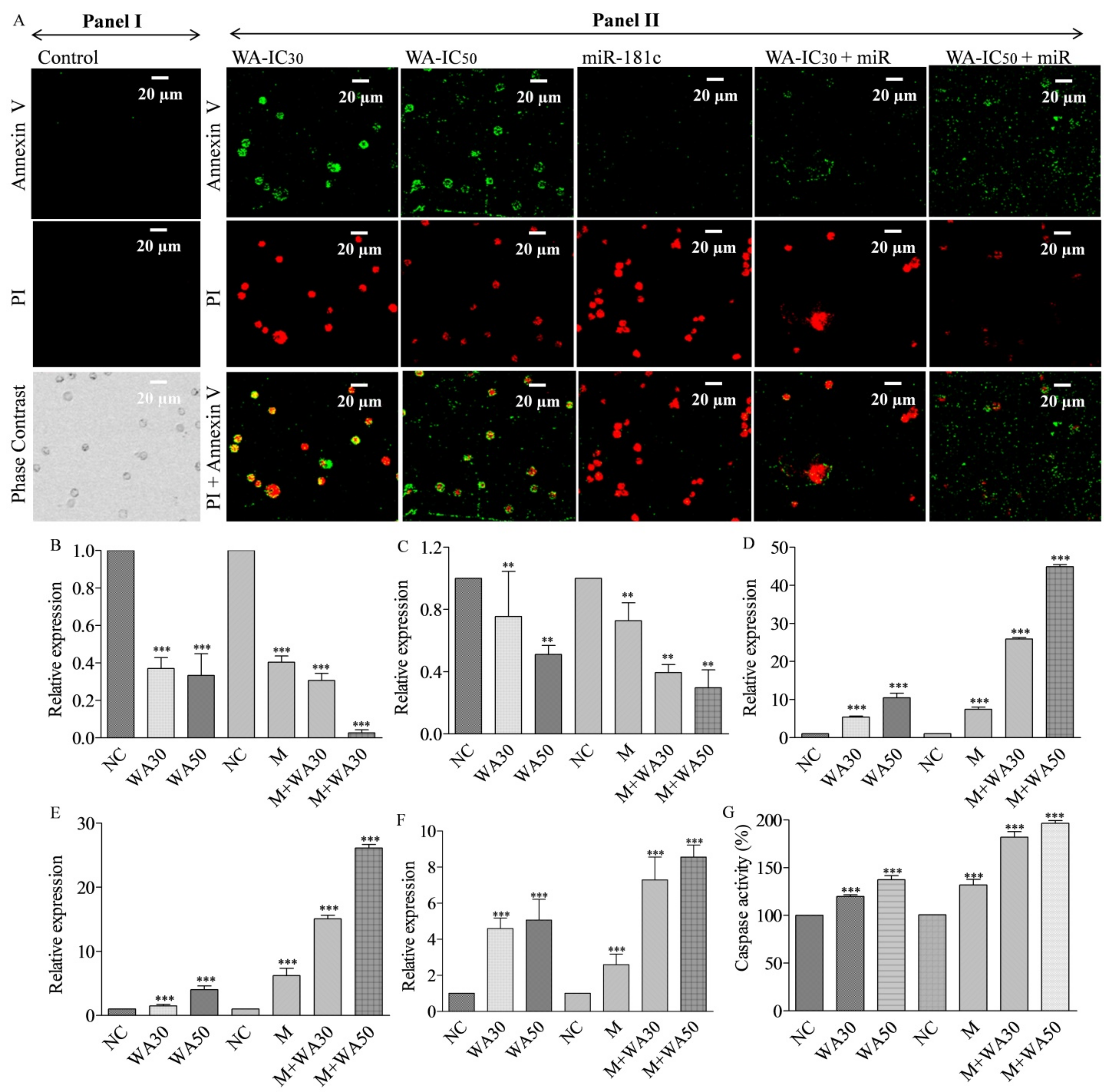 Metabolites 13 00029 g006 Metabolites 13 00029 g006