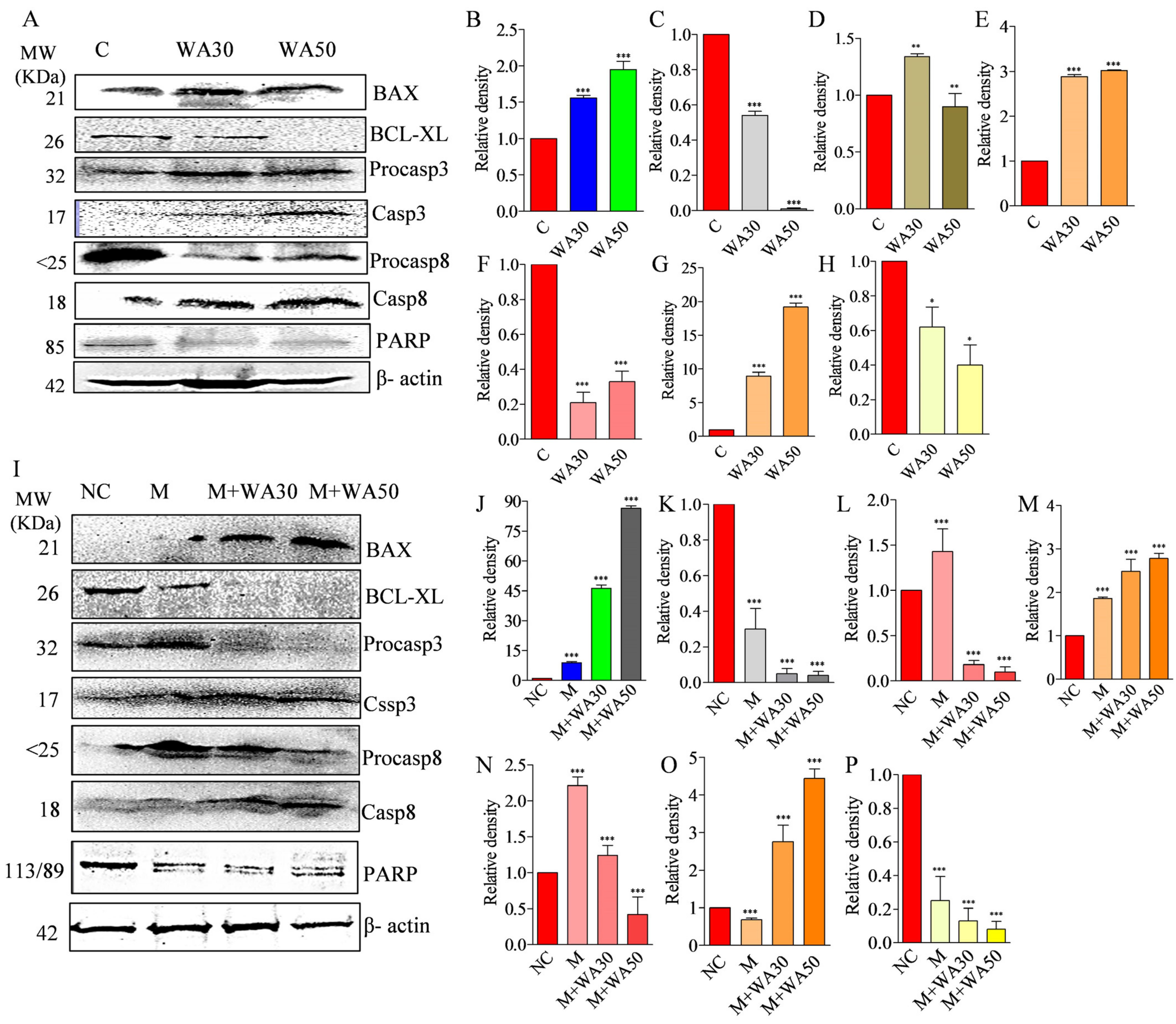 Metabolites 13 00029 g007 Metabolites 13 00029 g007