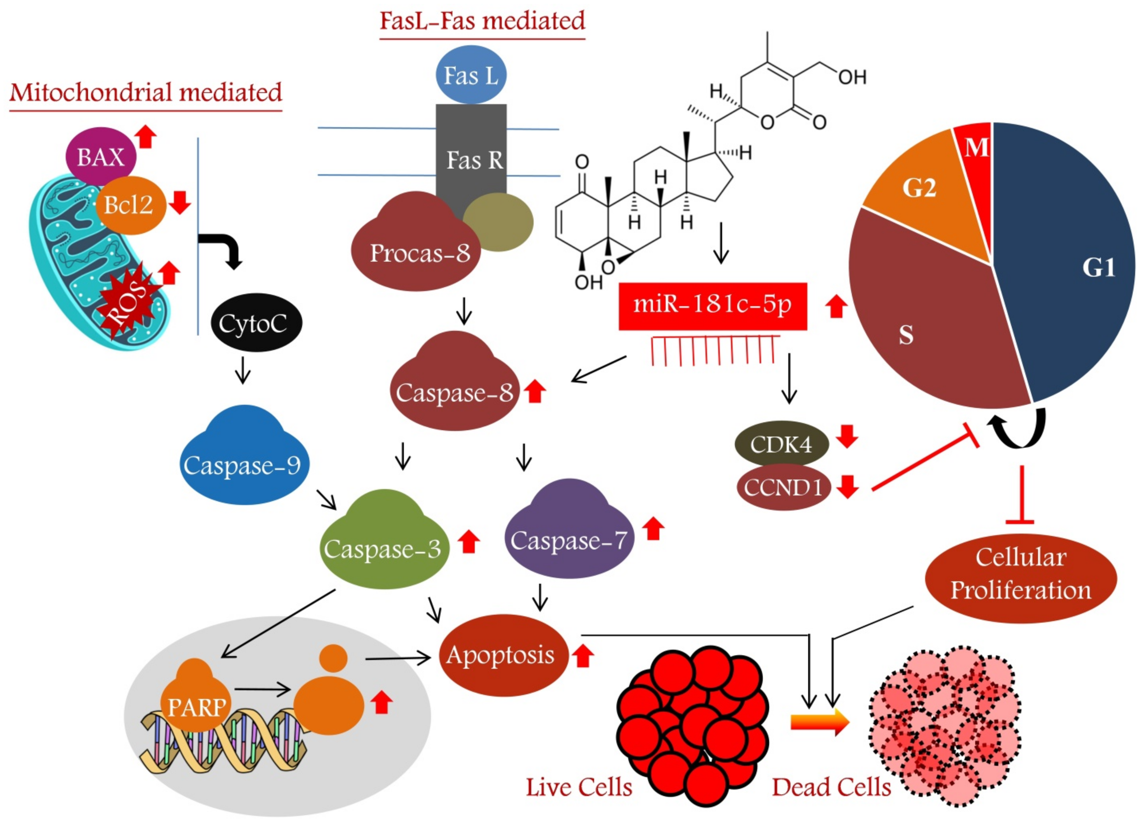 Metabolites 13 00029 g008 Metabolites 13 00029 g008