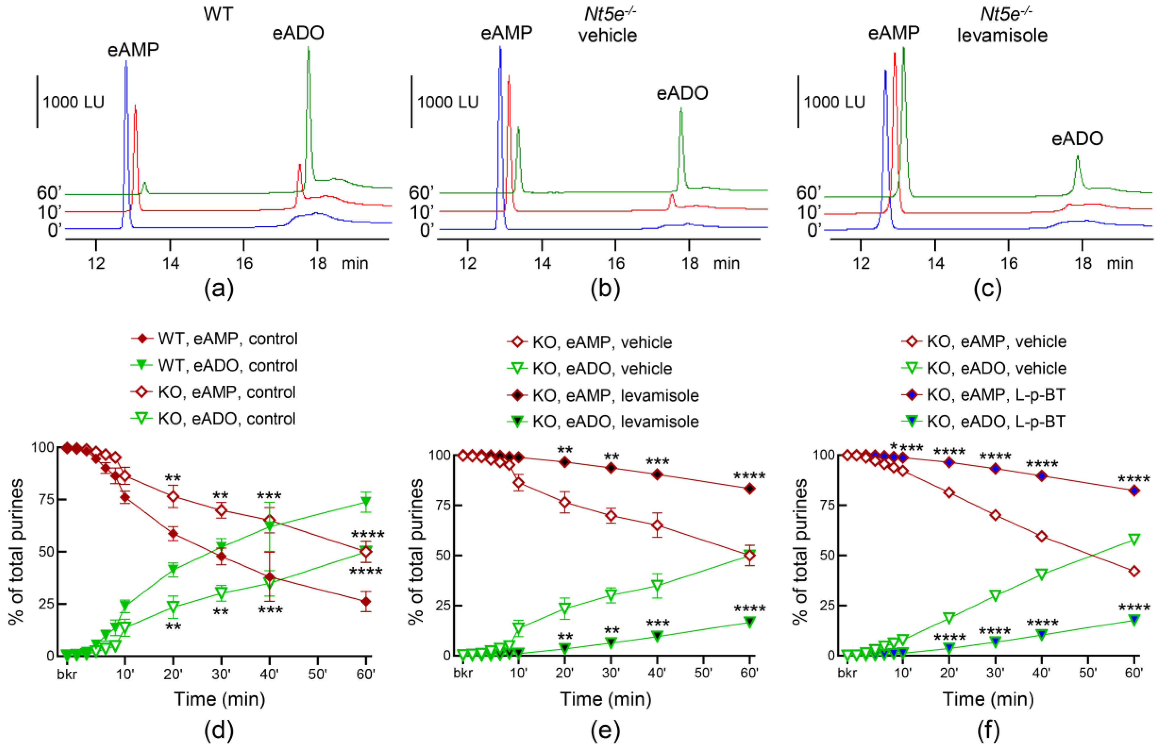 Metabolites 13 00030 g005