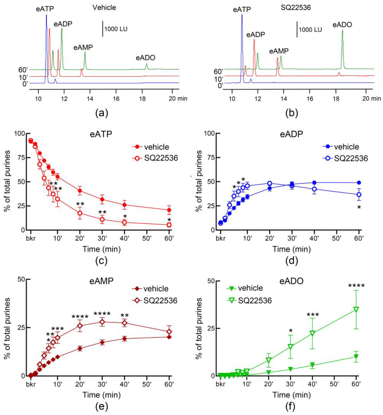 Metabolites 13 00030 g011