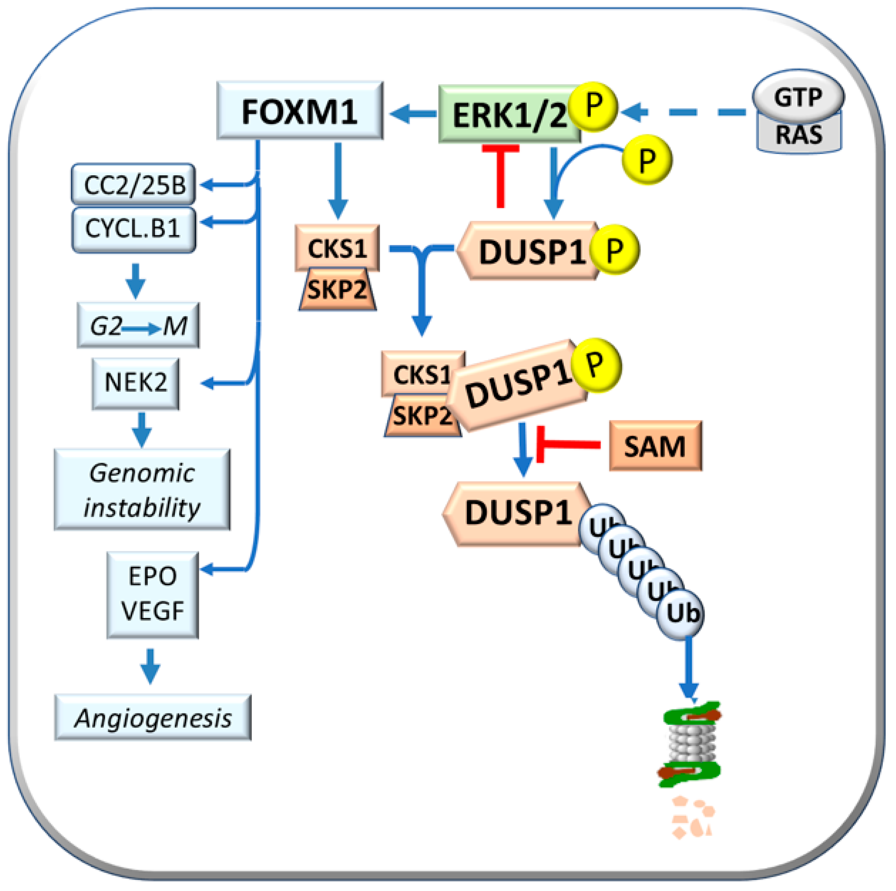 Metabolites 13 00035 g002