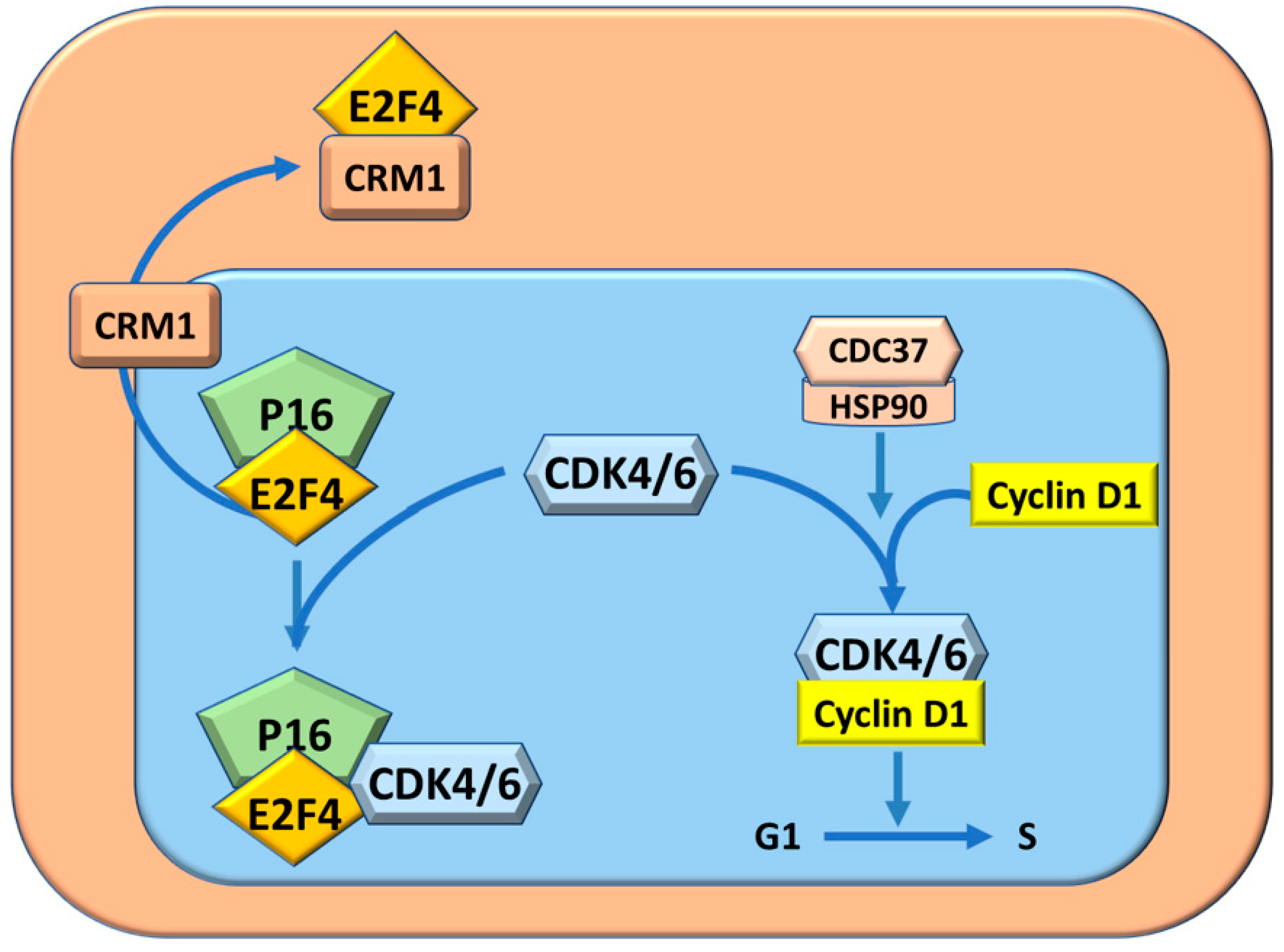 Metabolites 13 00035 g003