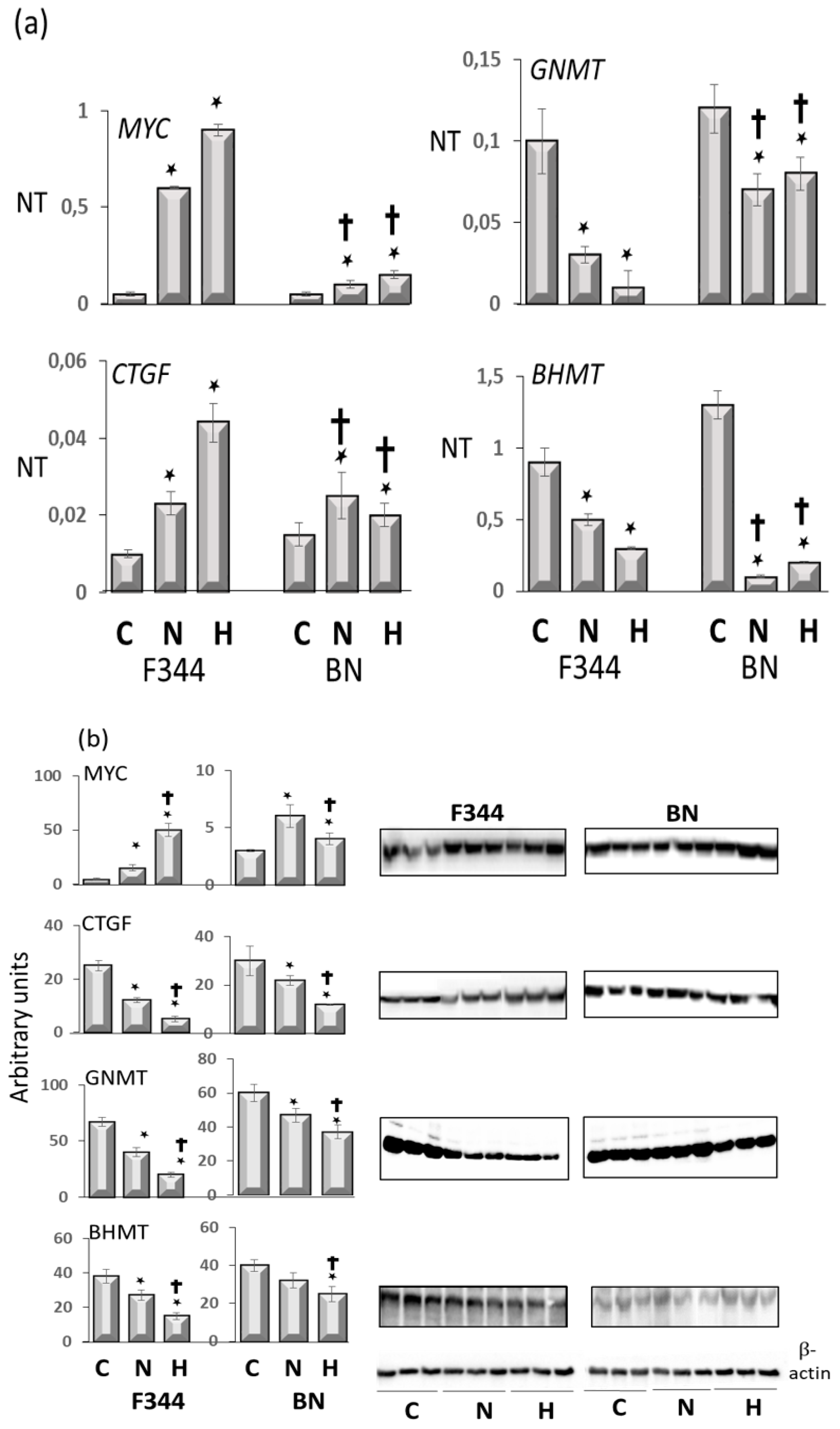 Metabolites 13 00035 g006