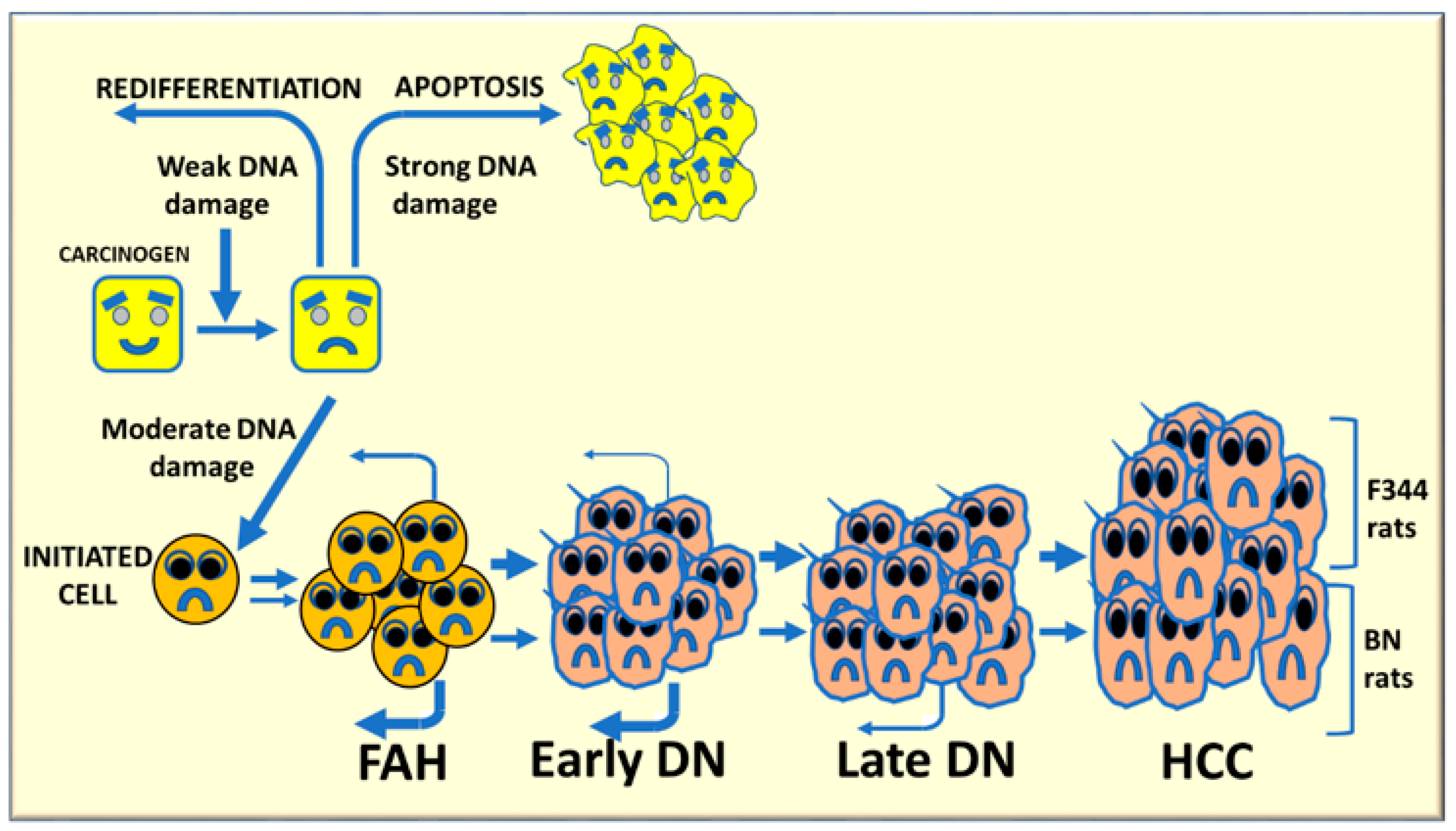 Metabolites 13 00035 g008