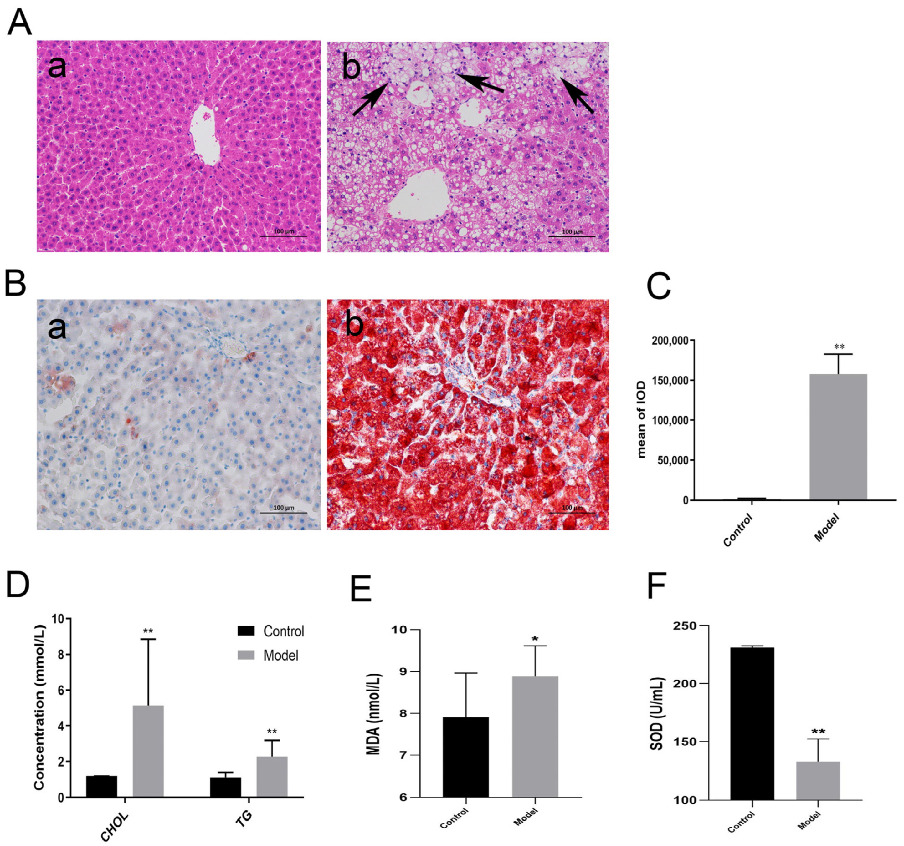 Metabolites | Free Full-Text | UPLC-QTOF-MS Based Comparison of