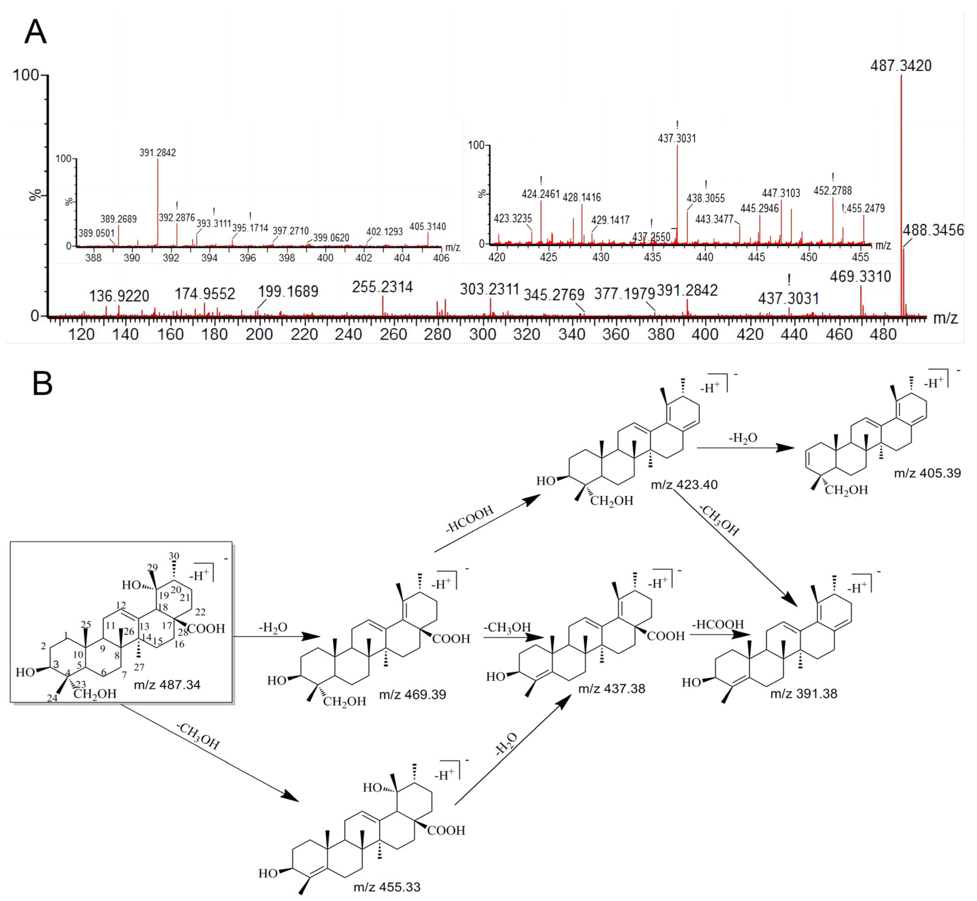 Metabolites 13 00038 g002