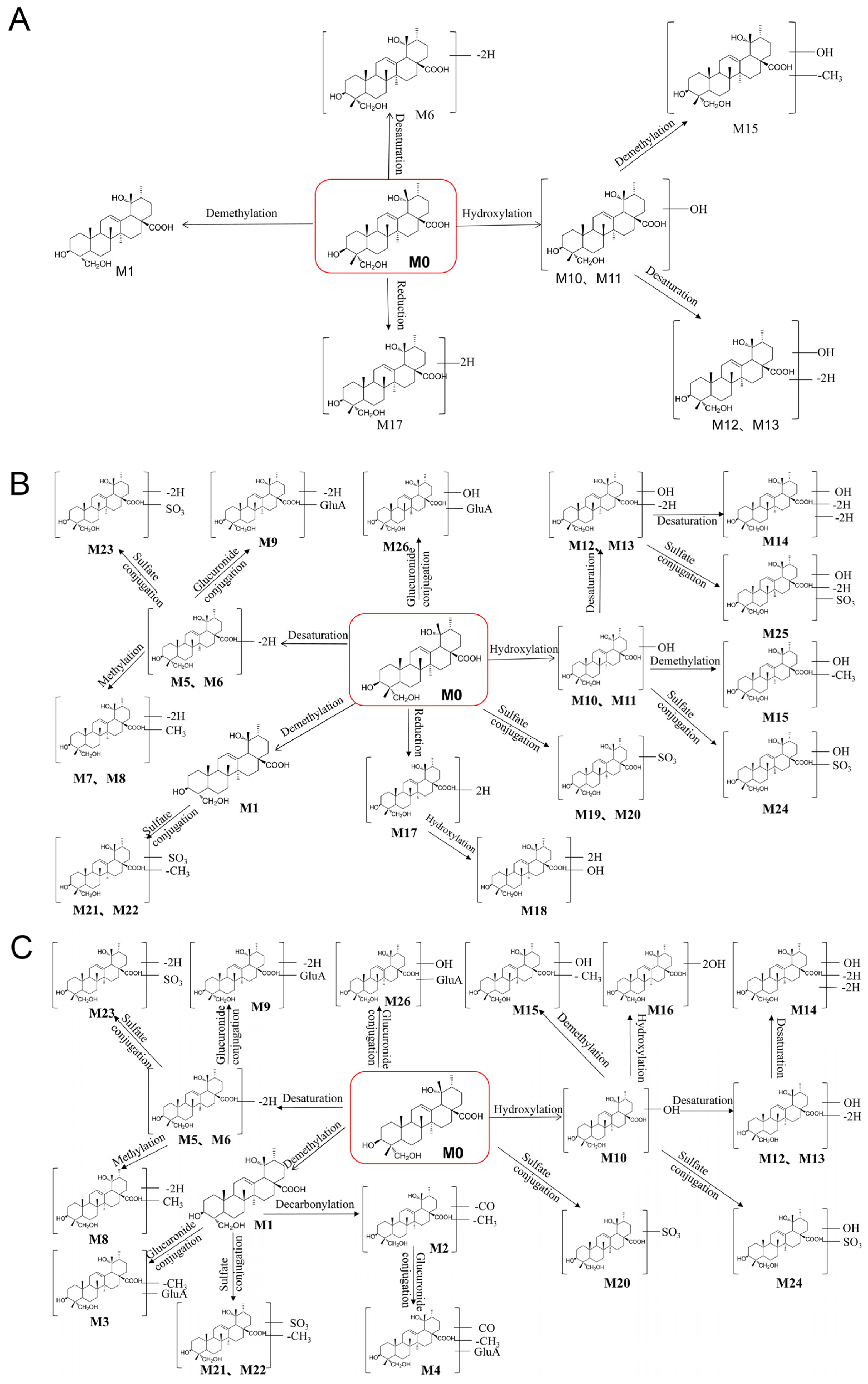 Metabolites 13 00038 g004
