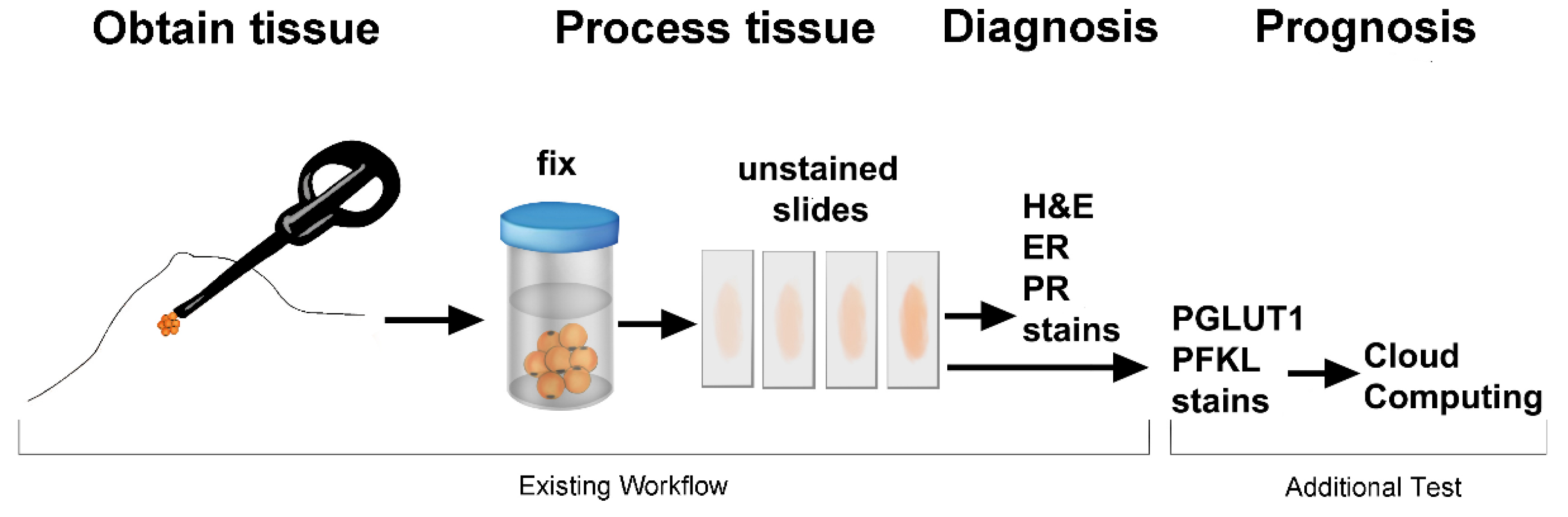 Metabolites 13 00041 g001 Metabolites 13 00041 g001