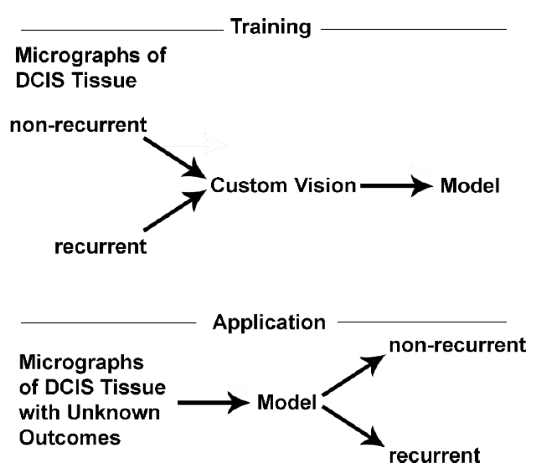 Metabolites 13 00041 g002 Metabolites 13 00041 g002