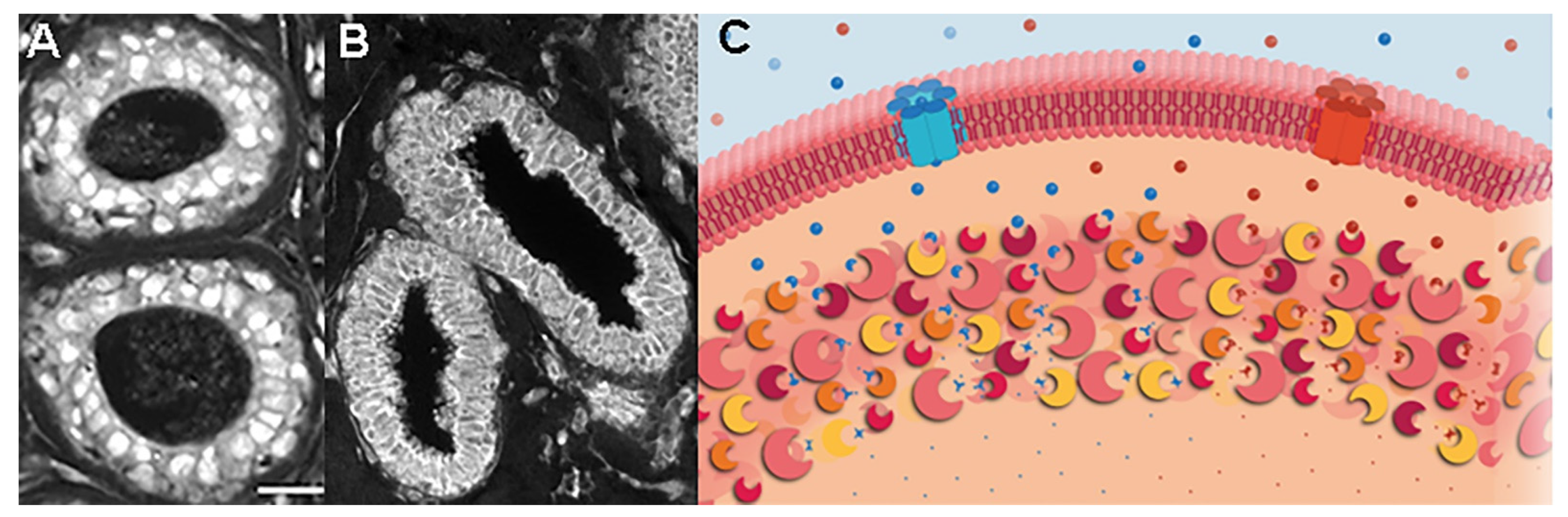 Metabolites 13 00041 g003 Metabolites 13 00041 g003