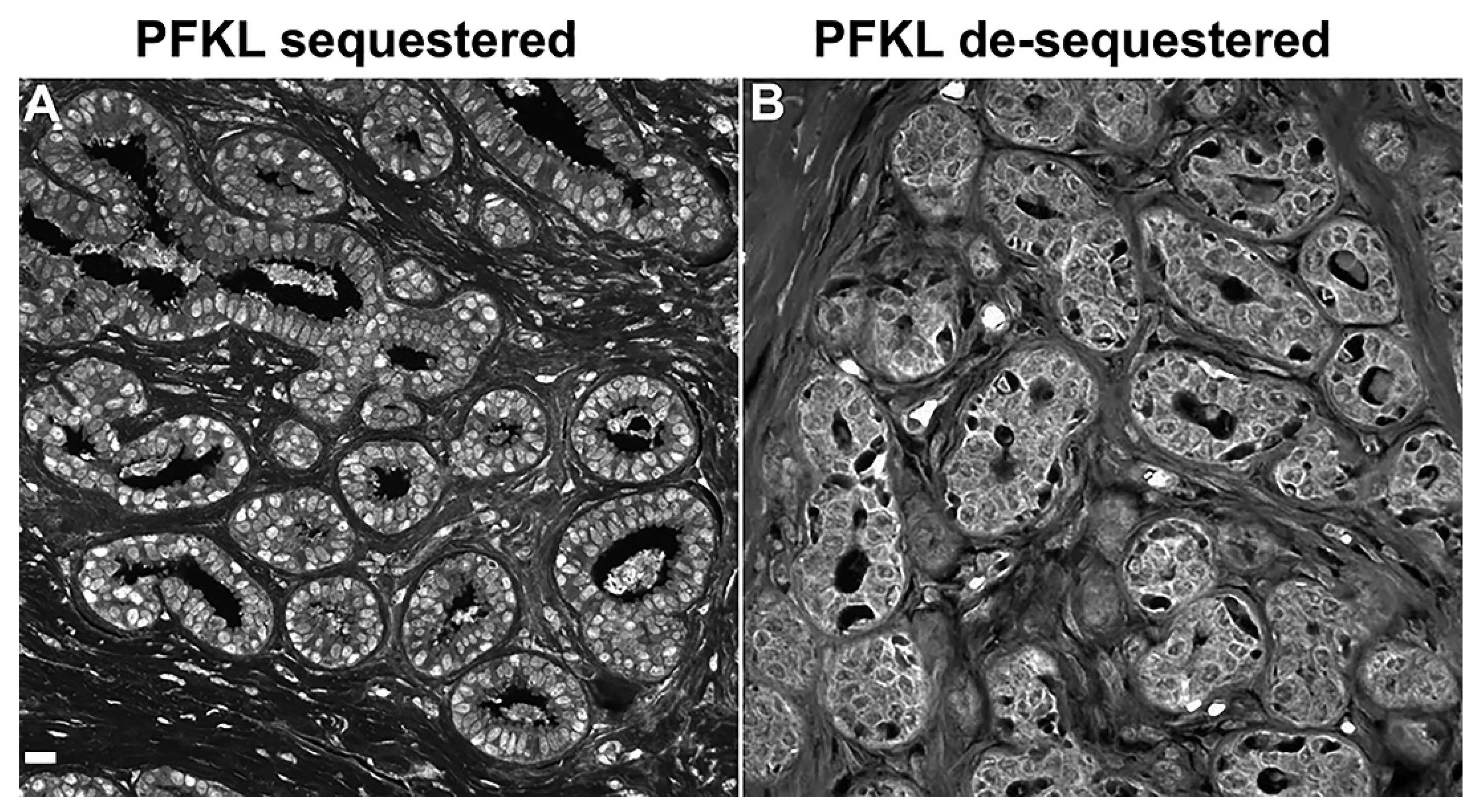 Metabolites 13 00041 g004 Metabolites 13 00041 g004