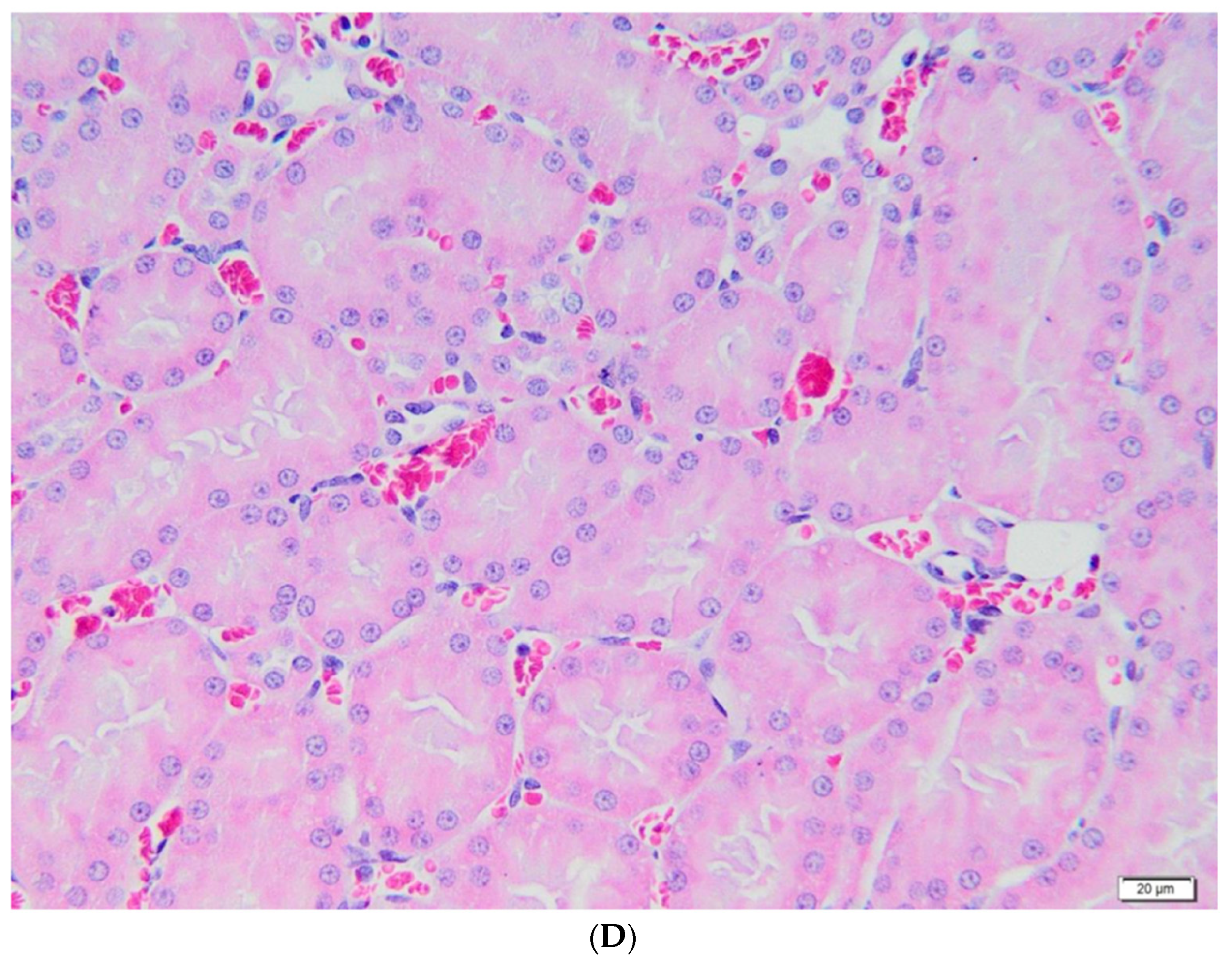 Metabolites 13 00049 g004c Metabolites 13 00049 g004c
