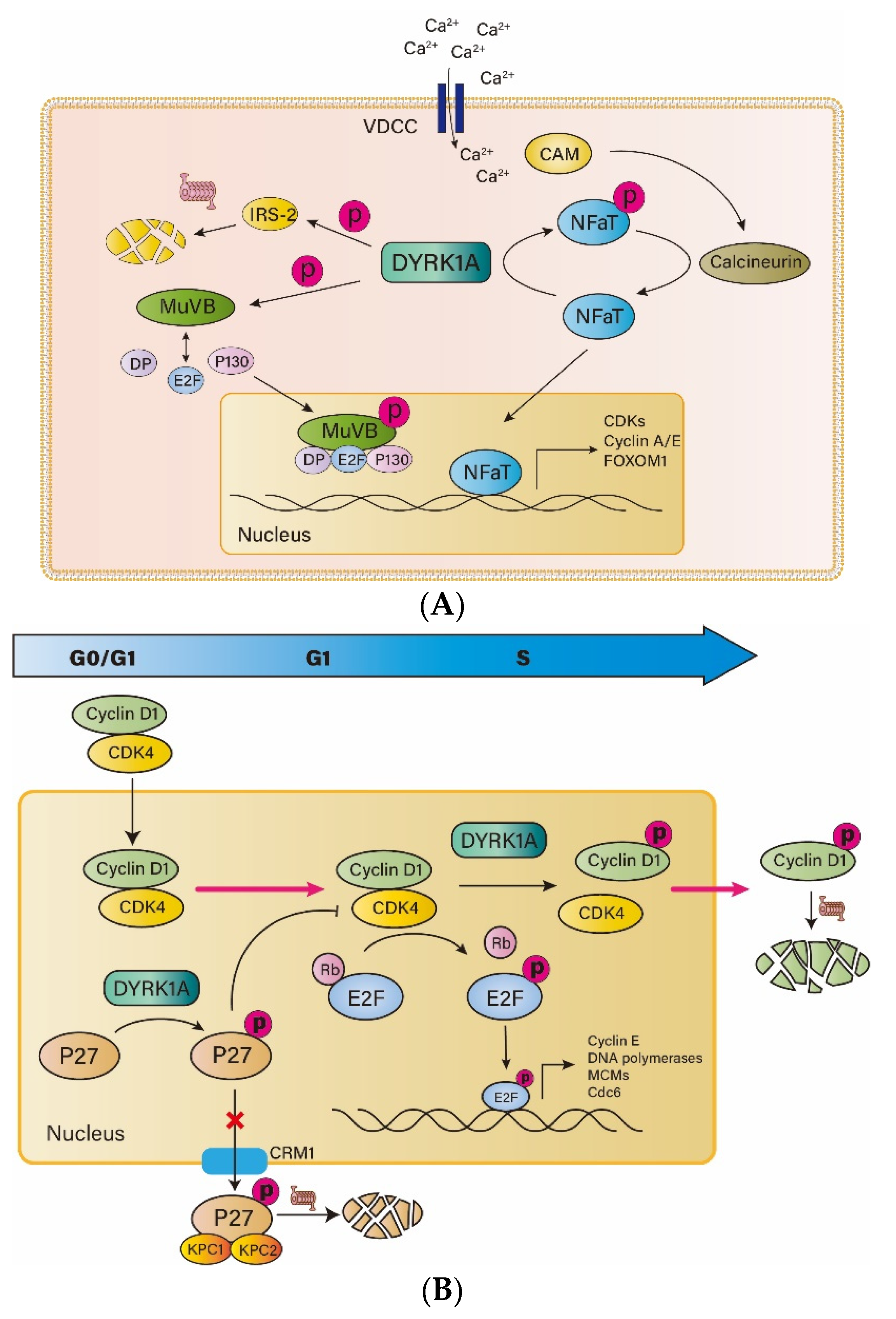 Metabolites 13 00051 g002