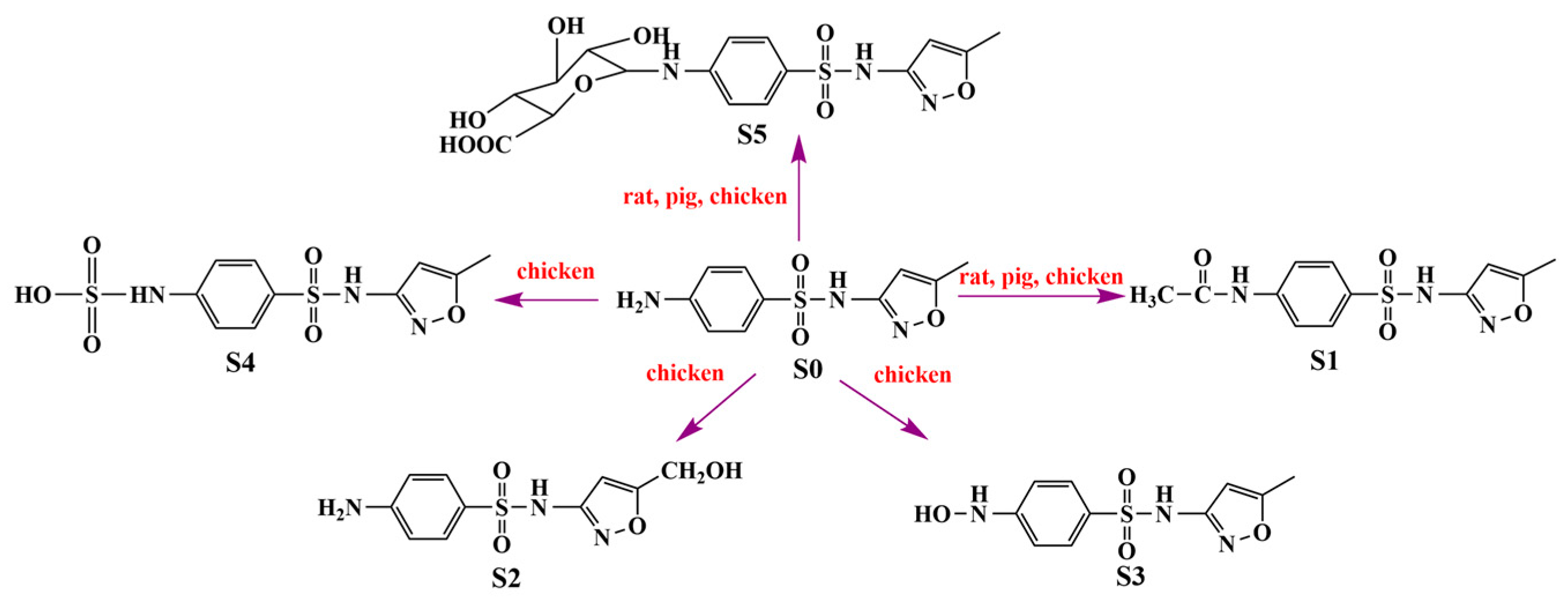 Metabolites 13 00057 g005