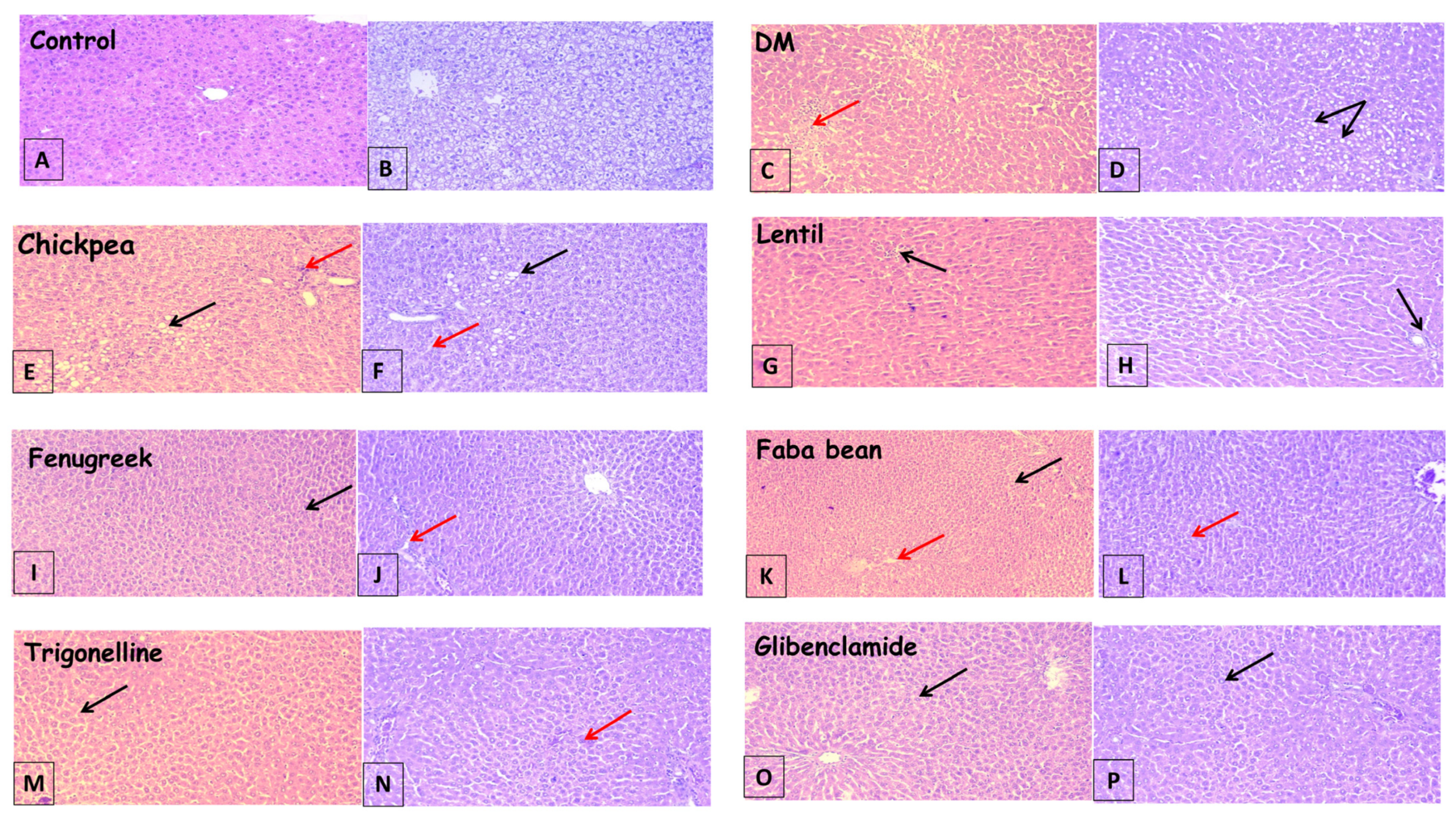 Metabolites 13 00063 g002 Metabolites 13 00063 g002