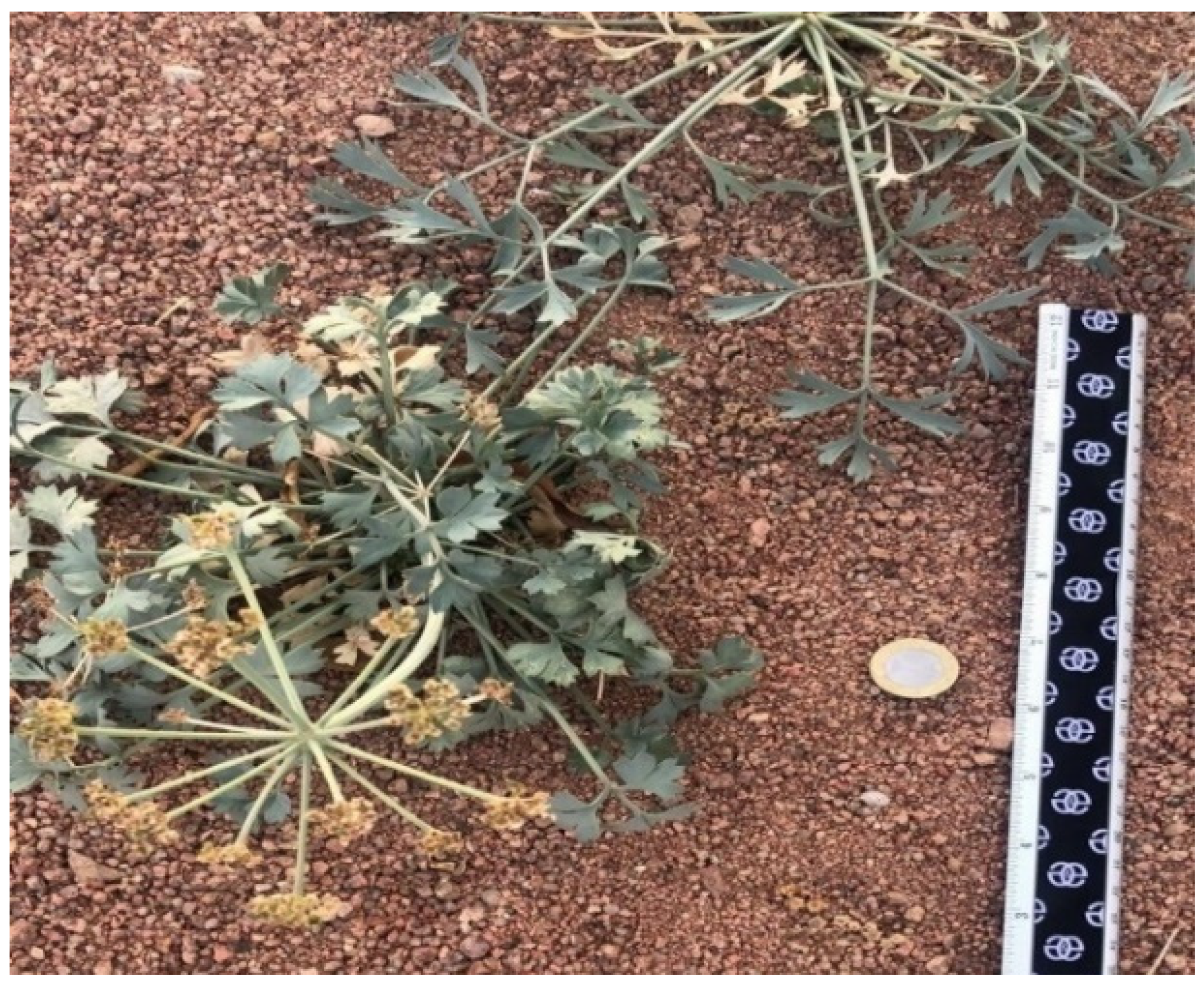 Metabolites 13 00064 g004